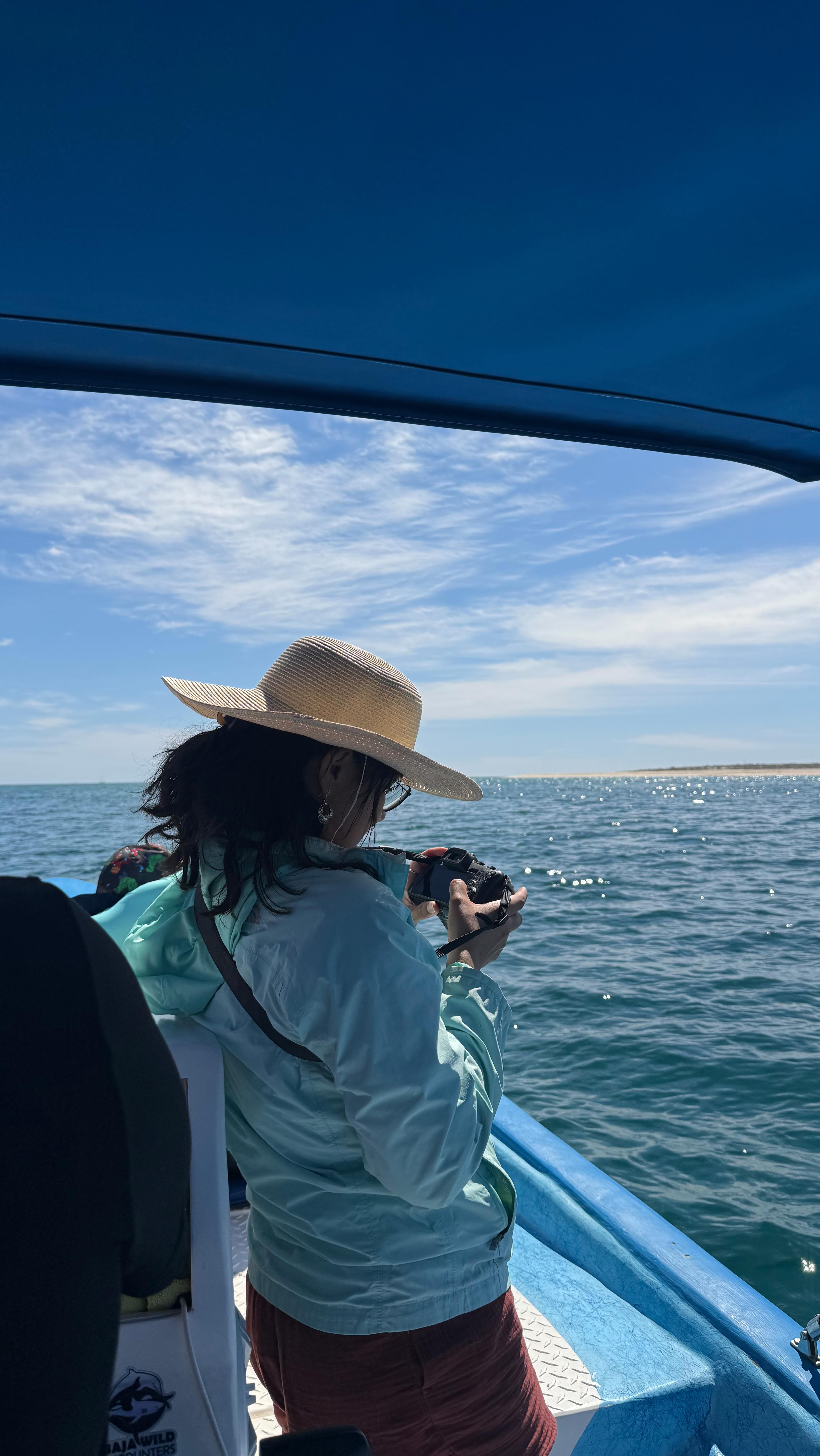 ¿Habrá sido un depredador? ¿O estaban cazando? 🤔
#marinesafari #laventana #wildlife
