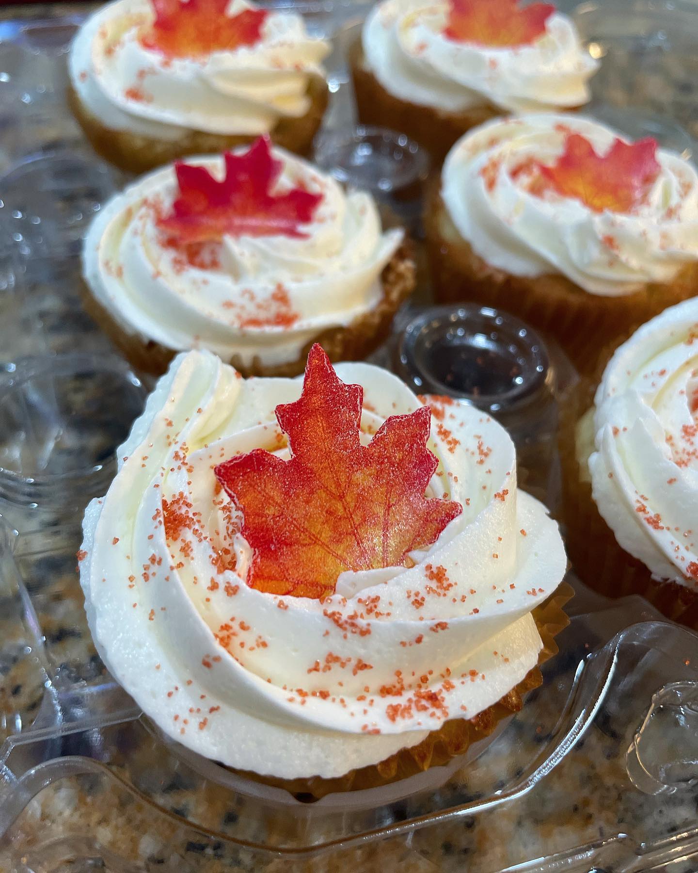 🍁🍂🍁🍂🍁🍂