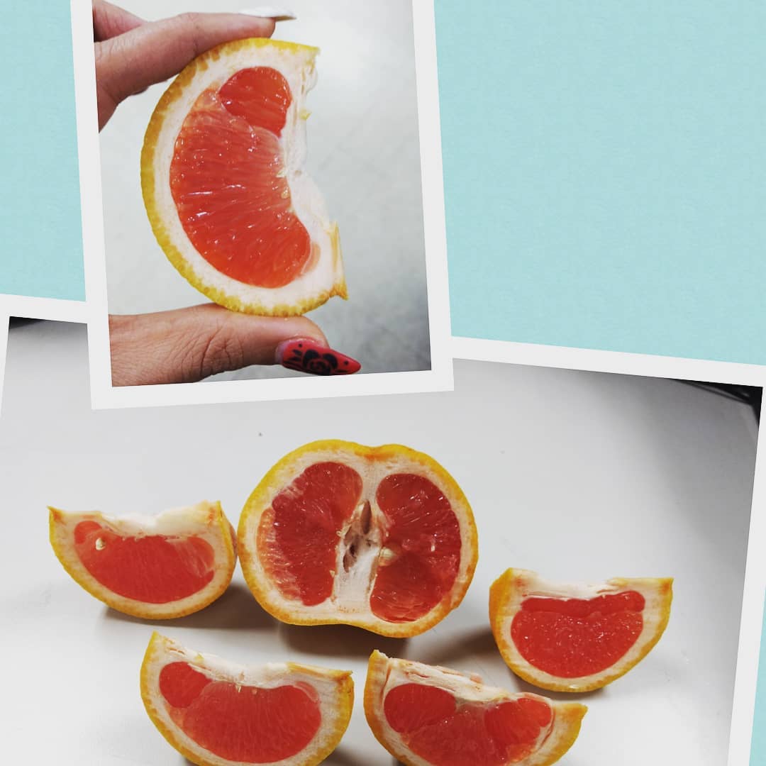 #SGSProduce #citrus #fruit #oranges