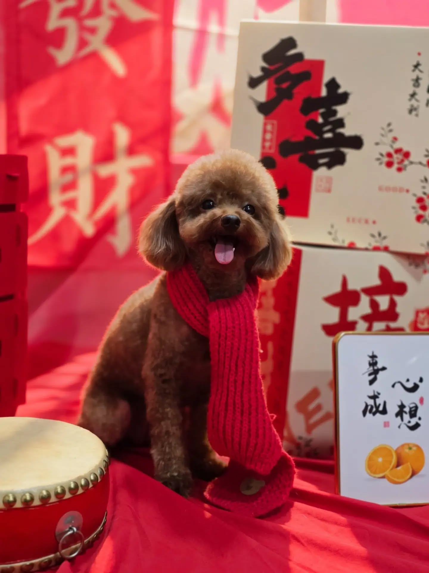 Ring in the New Year with a fresh, healthy coat. ✨
Because every furry baby deserves to shine in the year ahead.
-
-
-
-
-
-
-
#PetsMan #petmobilegrooming #doortodoorservice🚗🏡 #petlovers #petgrooming petslove petsgroomer petsgroomingPetsMan 🛁🐶🐱
📍Service Area : KL / KLANG VALLEY AREA
Feel free to DM us for more info !
WhatsApp us for appointment 0175233811 ☎️