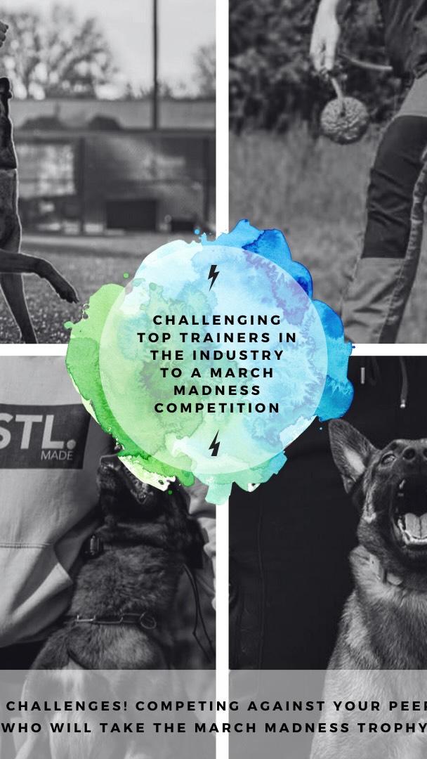 IT’S BACK. YEAR FIVE.
The 5th Annual Grassroots K9 March Madness – Dog Trainer Edition kicks off March 2nd, 2026.
For five years now, this competition has brought together incredible trainers from around the world — showcasing talent, building exposure, creating new connections, and strengthening the dog training community. Every year the creativity gets better. The skill level gets higher. The matchups get stronger.
Here’s how it works:
• Videos are posted every Thursday by 8 PM EST
• Voting begins every Friday at 8 PM EST on our Instagram stories and runs for 24 hours
• Winners advance strictly by public vote
Round 1 videos drop March 5th.
This year’s competitors:
@bluestripek9
@canineconfidential
@juanesdelvalle
@thebiteybitches
@jase91
@somek9shit
@reliabull_k9
@dj_thedecoy
The final winner will face off against @_k9allday_
Follow along. Vote. Share. Support your favorite trainer.
Let the competition begin.