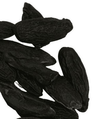 ๐๐จ๐ง๐ค๐ ๐๐๐๐ง - A rare South American spice with a warm, vanilla-like aroma. Perfect for desserts; especially homemade Tonka Bean ice cream๐จ. Sweet, fragrant, and unforgettable. Ready to experiment?