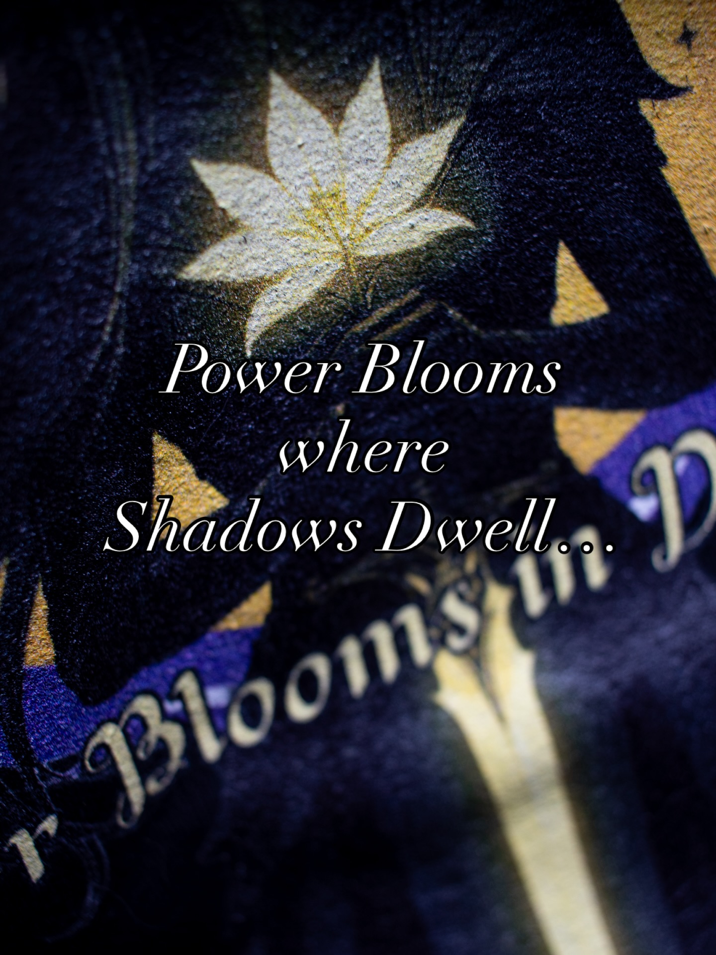 The Dark Fae Rebirth & Defiance Collection reveals itself soon. Can you feel the light growing in the dark? ✨
#darkfaedefiancecollection #powerblooms #womenempowerment