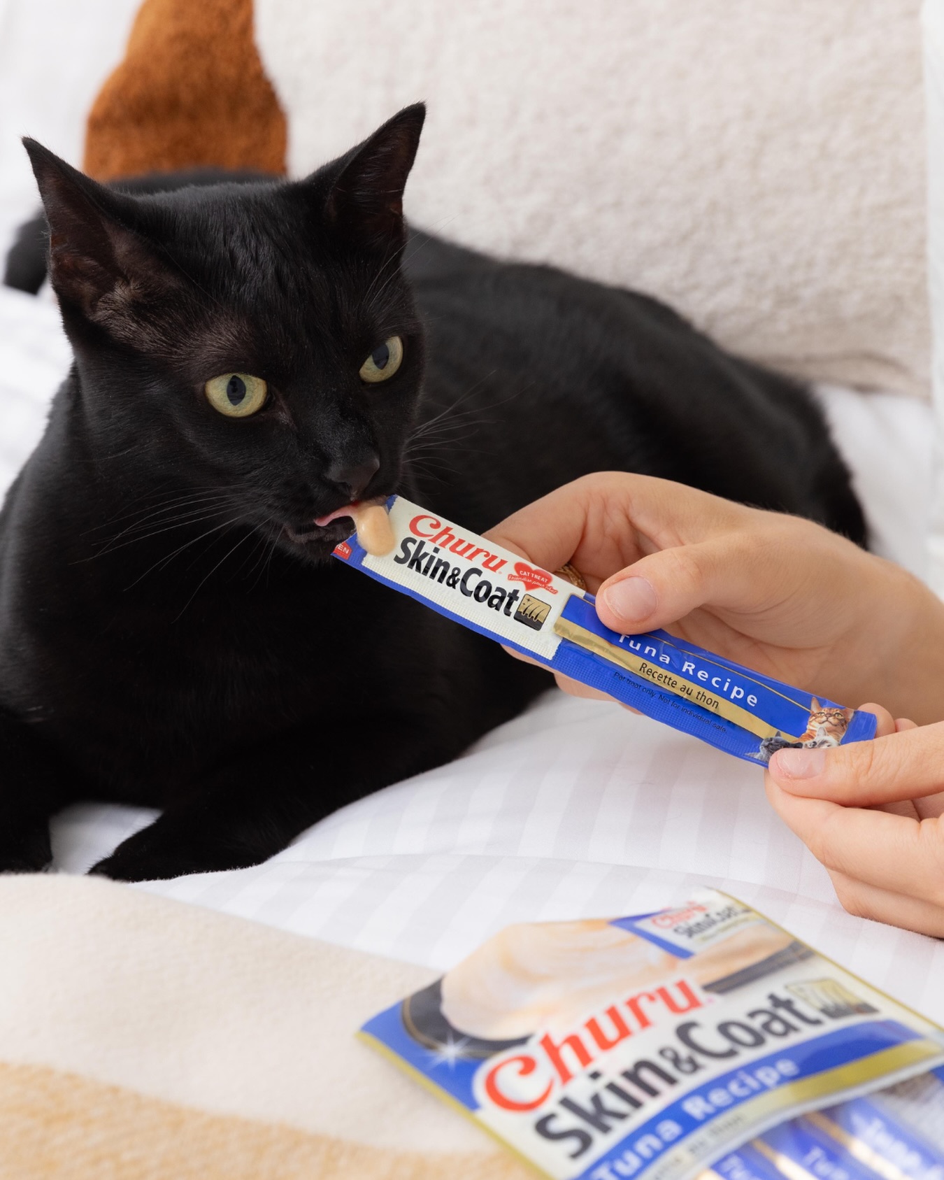 Treat time that does more 😻
Churu Skin & Coat is made with high-quality ingredients you can trust, including wild-caught tuna, and packed with Omega-3 fatty acids to help support healthy skin and a shiny coat.
Creamy, low-cal and super hydrating, these irresistible purées are perfect for:
✔️ Hand-feeding & bonding
✔️ Fussy eaters
✔️ Sneaky medicine time
✔️ Adding variety to everyday meals
No grains. No preservatives. No artificial colours.
Just squeeze, treat, and watch them come running 🐾
Leave a 🐱 if your cat has tried these!
#Churu #ChuruSkinAndCoat #Woolworths