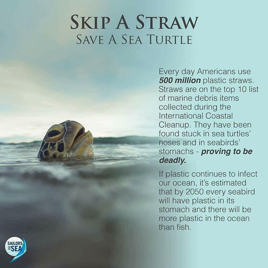 Say “No” to straws.
#NoStraws #SNUBA #caribbean #ocean