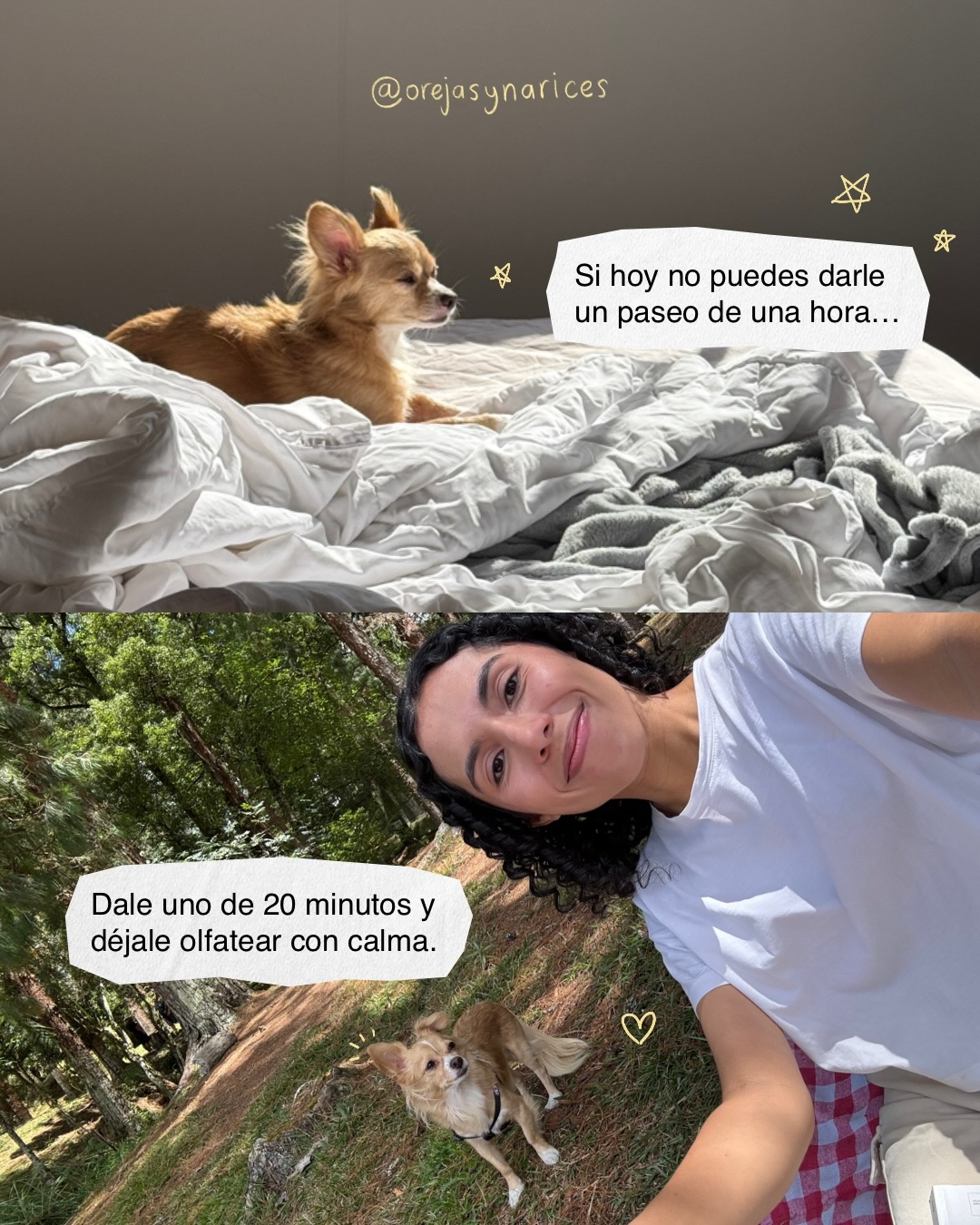 Muchas veces no empezamos a hacer cambios porque sentimos que no podemos hacerlo al 100%. Creemos que si no es perfecto… no vale la pena. ❤️🩹
Pero en el bienestar de nuestros perrunitos, un poco siempre es mejor que nada. Te lo aseguro 🐾🌿
Empieza con lo que hoy sí puedes. Su salud y su bienestar lo van a agradecer. 🐕✨