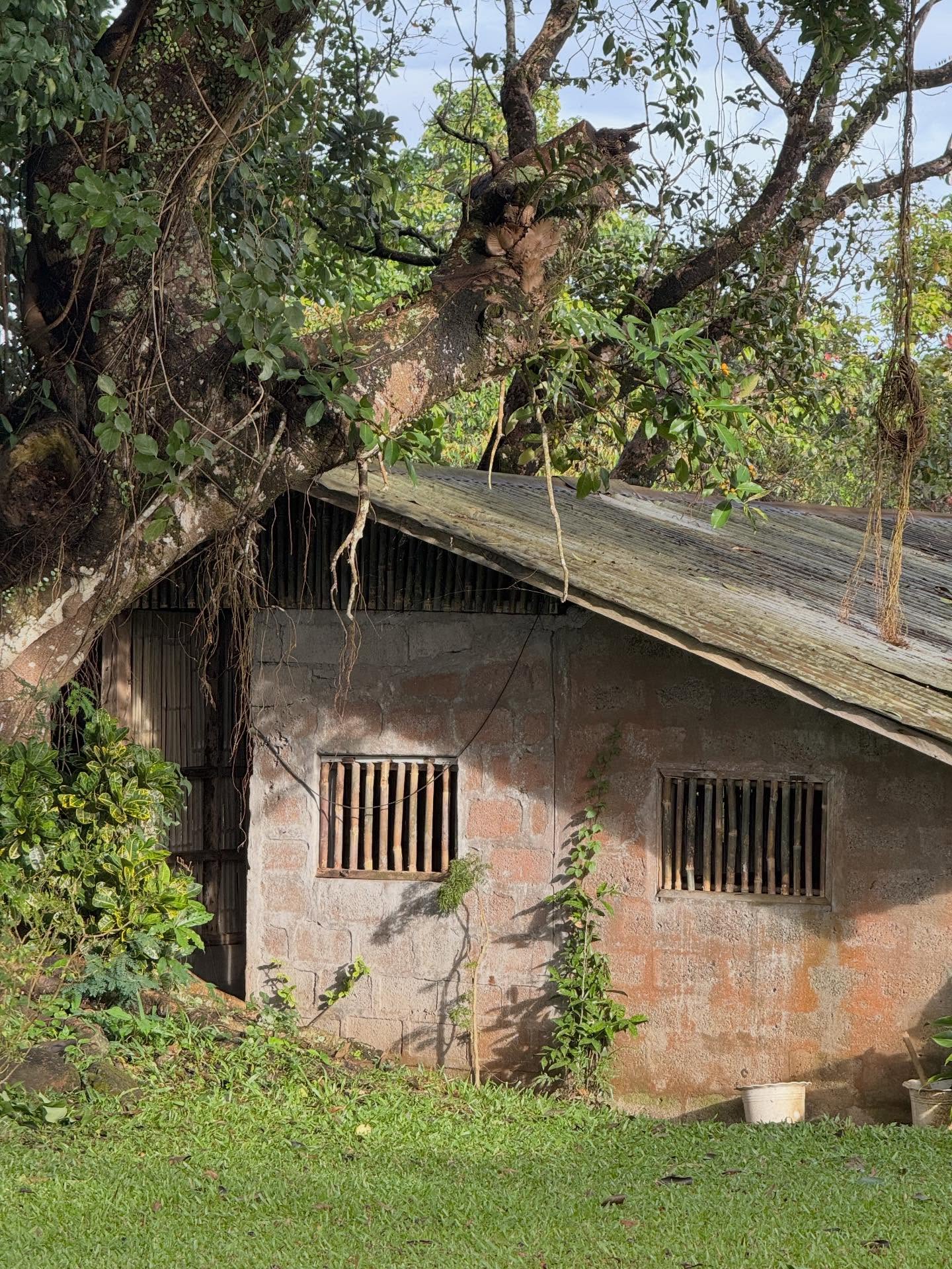 We've been feeling a shift in the breeze and we feel that we must respond to it. 🌬