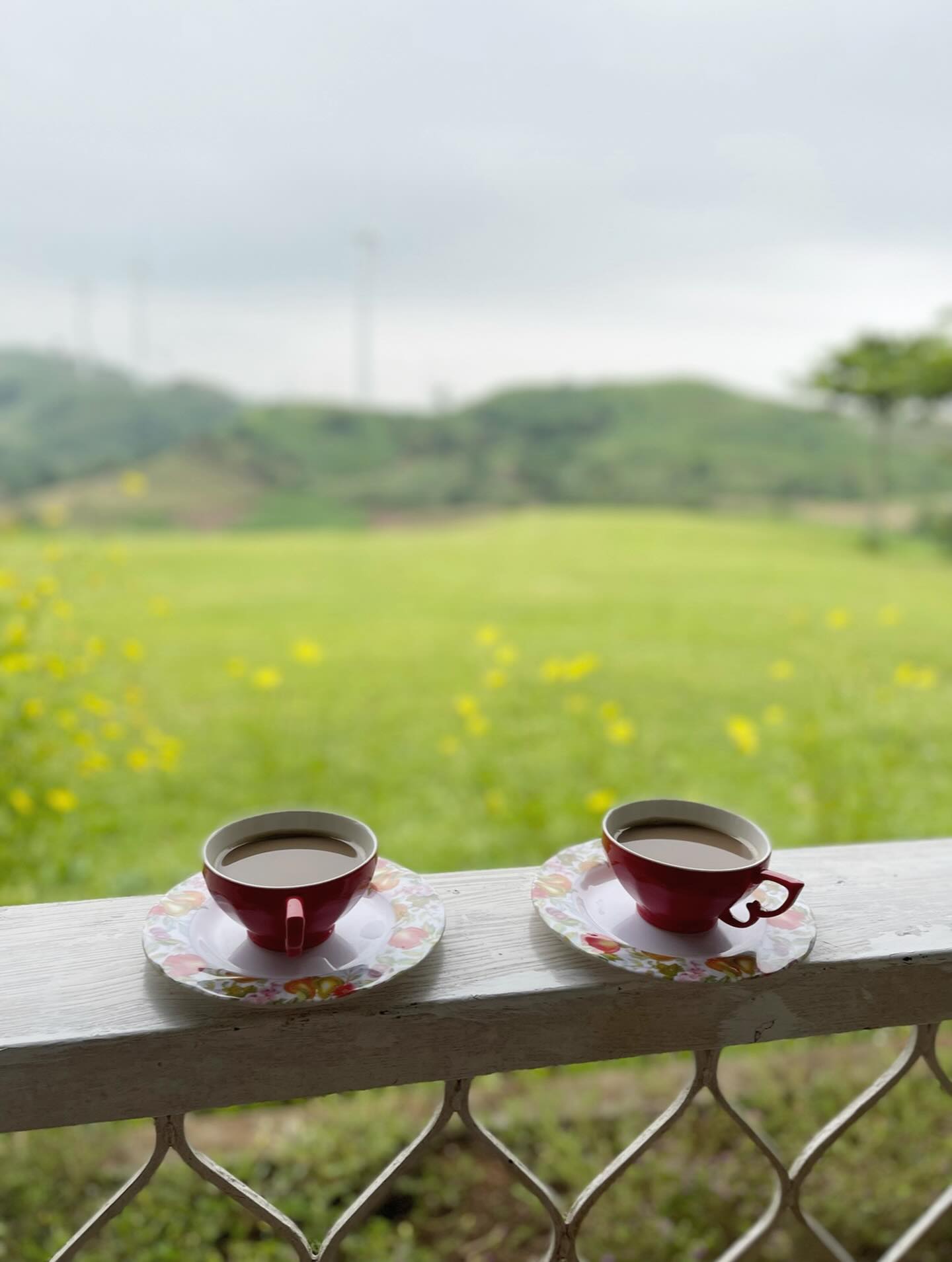 Come sit for a while.
You have been the best companions as you continue to support and love us through our work since the beginning. 🌞✨
As we approach our 25th year, I will heed this urge and pressing desire to reinvent ourselves, to grow not in conventional ways we know growth, but to grow as a brand from within - careful not to lose touch with what this was all about, a personal desire to advocate quietly, peacefully, for our health, for the earth, for values of stewardship, sincerity, honesty, simplicity , and care - in a more intimate and personal way.
In order to grow, some things need to rest. We have felt for quite a while, the need to rest our IG retail store page, that in some ways had begun to feel like a product magazine no matter how sincere and careful we created for your needs. What has kept us from doing this is our continued business with you. But we desire more than to keep ourselves comfortably sustainable. So this IG retail arm rests till further notice but in this while, to attend to your needs, store continues serving through its DM and the website with our current beautiful creations.
As we move on to find ourselves while we immerse in farm work, the least we could do is welcome you to experience the healing journey this endeavor might take us . You have always been there, we know something will be birthed through this.
Walk with us as we bravely respond to this call. @bodyfoodfarm
Gratefully & Sincerely,
Ana
PS
Again, storefront in Antipolo and our website will continue to serve you with selected items at One World Deli branches.
Our Makers' Academy continues on improving & strengthening itself as we continue to learn.