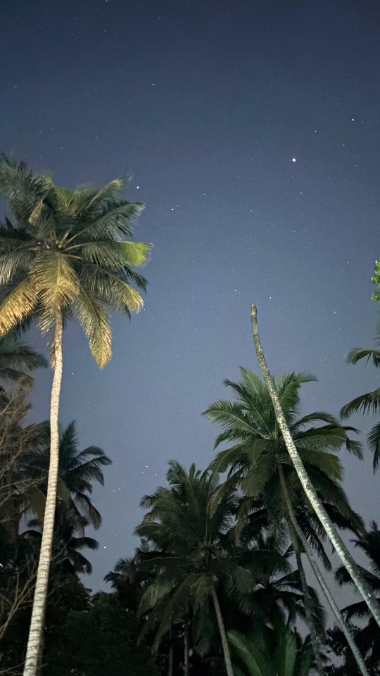 I like the night.... Without the dark, we'd never see the stars...✨✨
