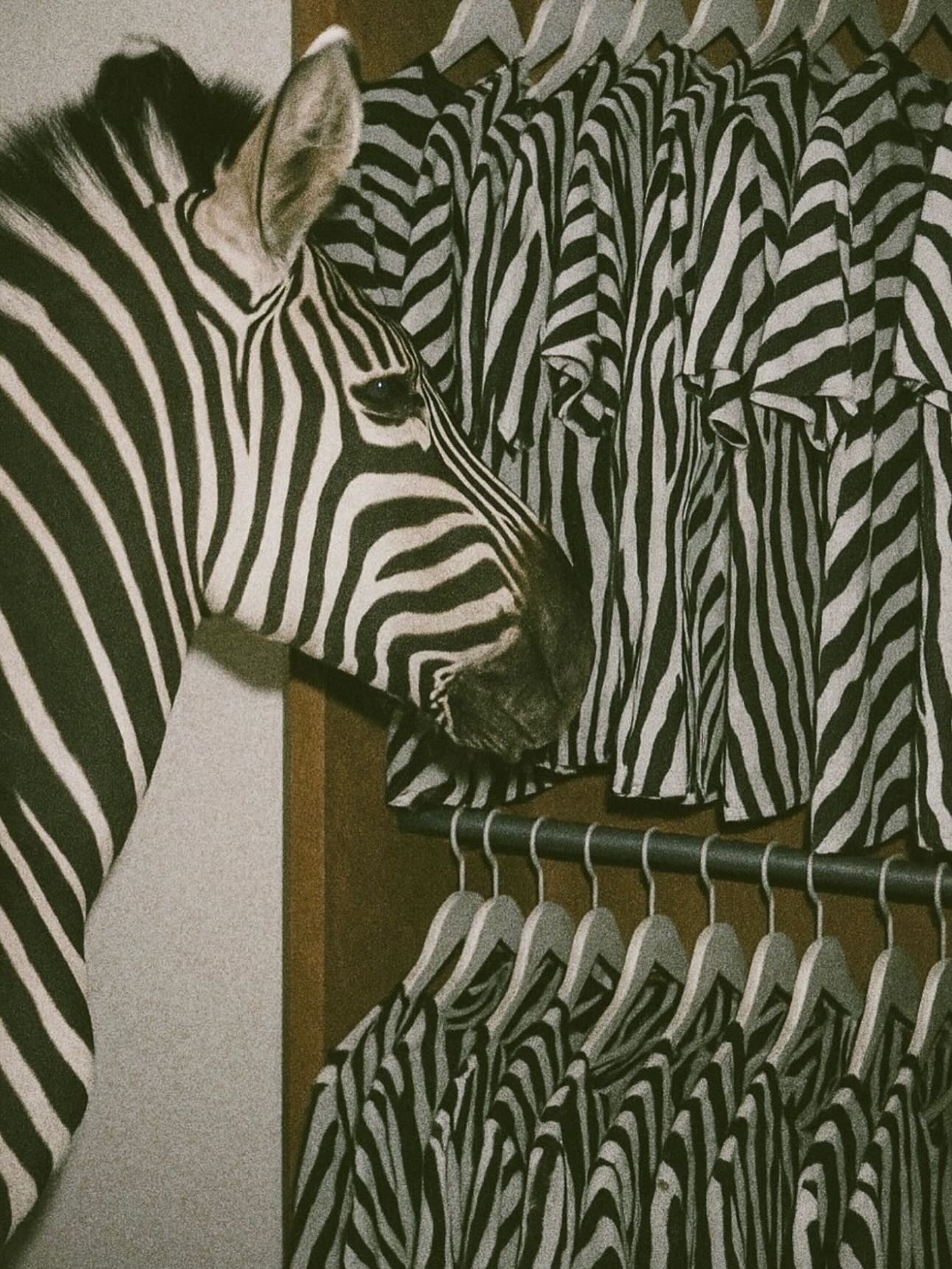 Klassisch und simple, unser Badetuch aus 100% Baumwolle, schwarz gestreift im 🦓Look 🔥
#lykiabanyo #lykiastore