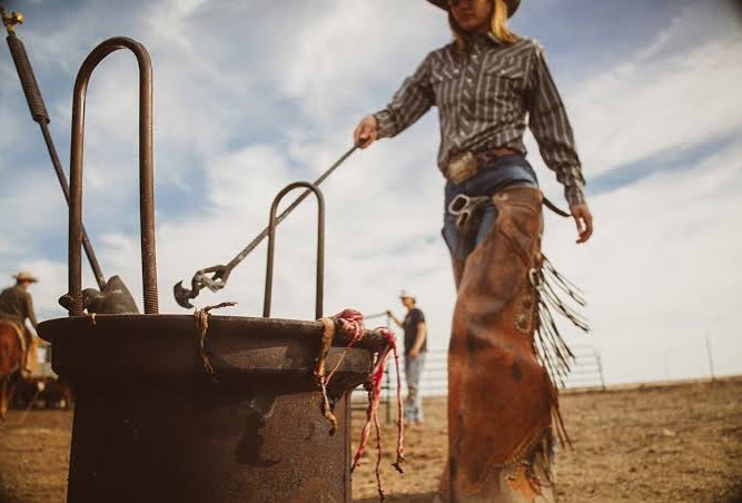 Building a brand rooted in pride in the USA is highly important to our family, as Americans we strongly value authenticity, quality, and shared national identity.
This is our name, our heritage and our family pride rooted deep in the Western Lifestyle. We love bringing you a small piece of our culture one bag at a time.
Churchill Jerky Co 🇺🇸
Hurricane Utah
#churchilljerky #utah #ranch #cattle