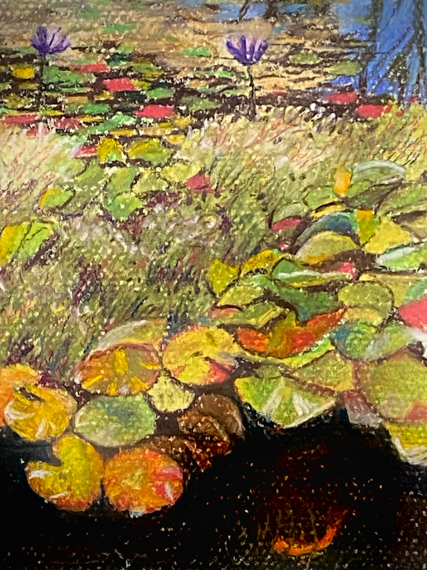 Just a little pastel of Tom and Lozzie’s pond!
Such a pretty little piece of paradise at The Eyrie!
#lyndasampsonart #art #archive #pastel #pond #goldfish #goodfriends