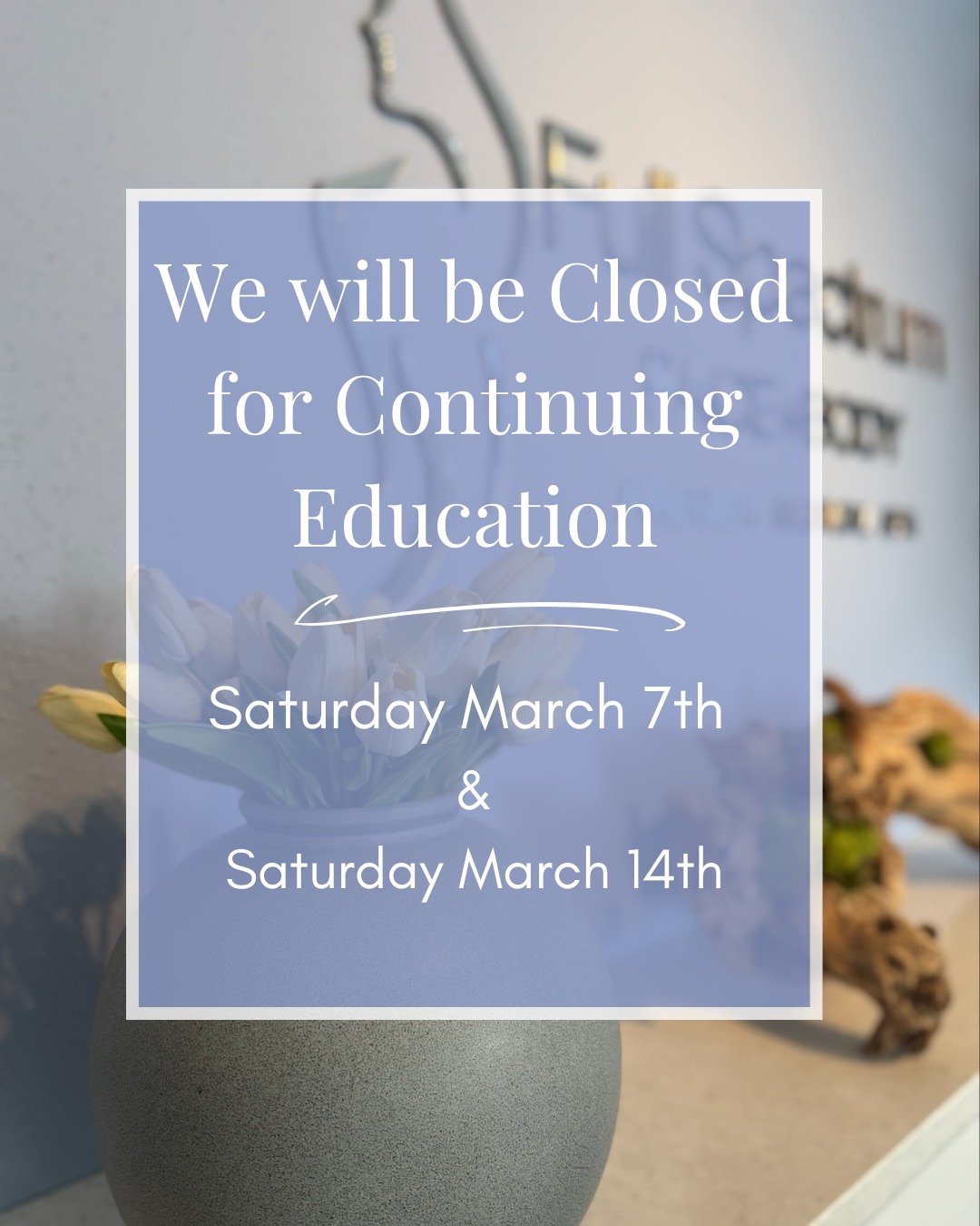 Office Closure Dates ✨
Saturday March 7th & Saturday March 14th
Our team will be attending continuing education to stay up-to-date on the latest techniques and innovations.
We’re always learning so we can serve you better!
Thank you for your understanding 🤍