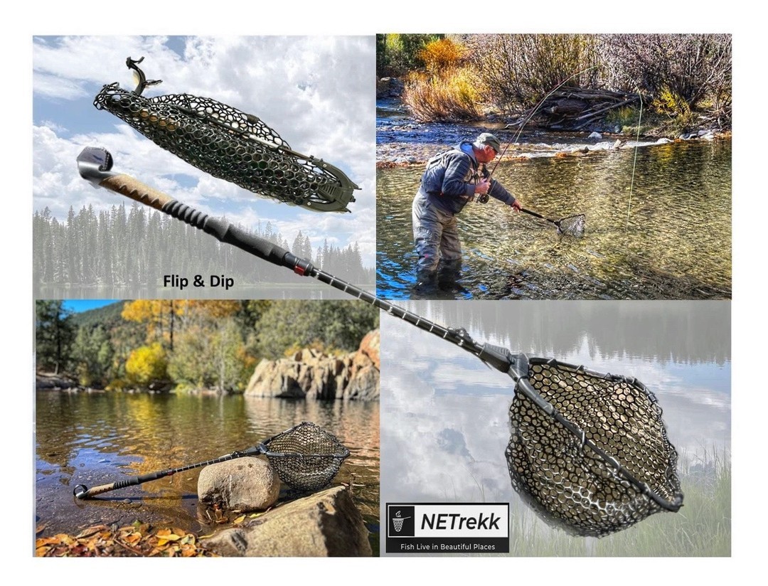 Going Fishing... Free Bonus for YOU!