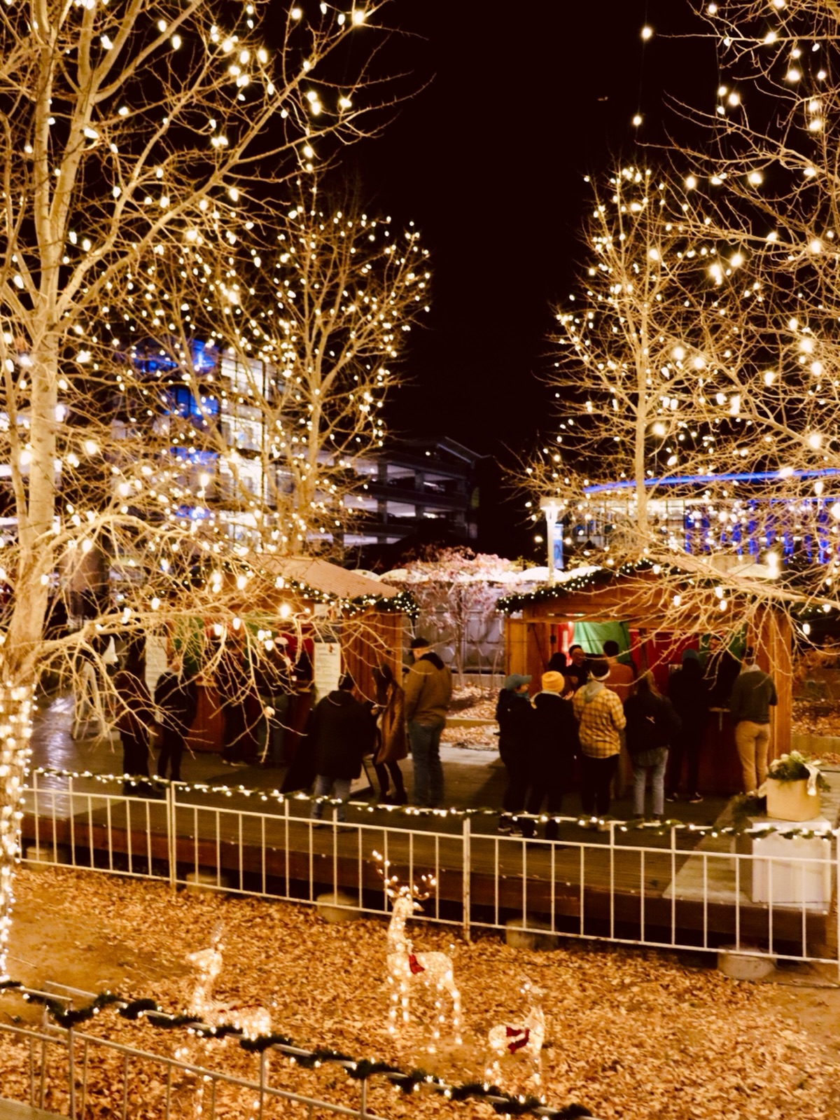 Wishing tonight’s plans looked like this, especially with this snow. 😍
A stroll through twinkling trees + a stop at the Hot Chocolate Hut…who could say no? 😌💫☕🍫✨🌲