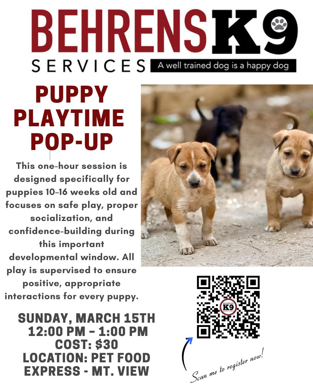 Join us tomorrow for a fun puppy playgroup at Pet Food Express Mt. View from 12 - 1. This is a great opportunity to socialize your young pup in a sanitized, safe environment. Scan or register here: https://www.behrensk9services.com/class-registration