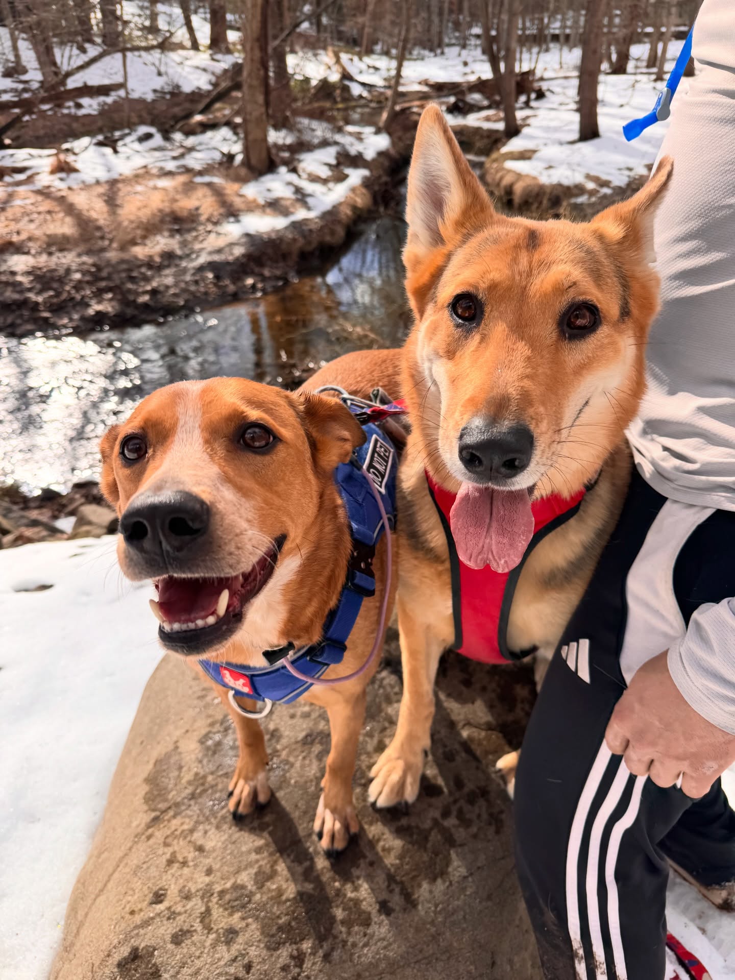 Don’t forget to go on an adventure between the snowstorms! 🥰