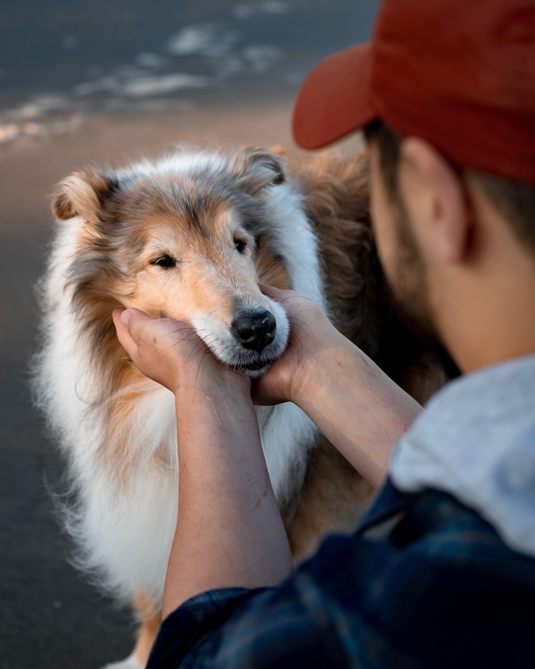 This is one of my favourite photos to recreate during sessions, because it’s such a real, everyday thing. You cup their face without even thinking; when you’re talking to them, comforting them, or just sneaking a kiss on their nose. This shot is really about perspective and seeing love the way you do every day 🤍
#novascotiaphotographer#petphotographer#dogphotography#petportrait#novascotiapets