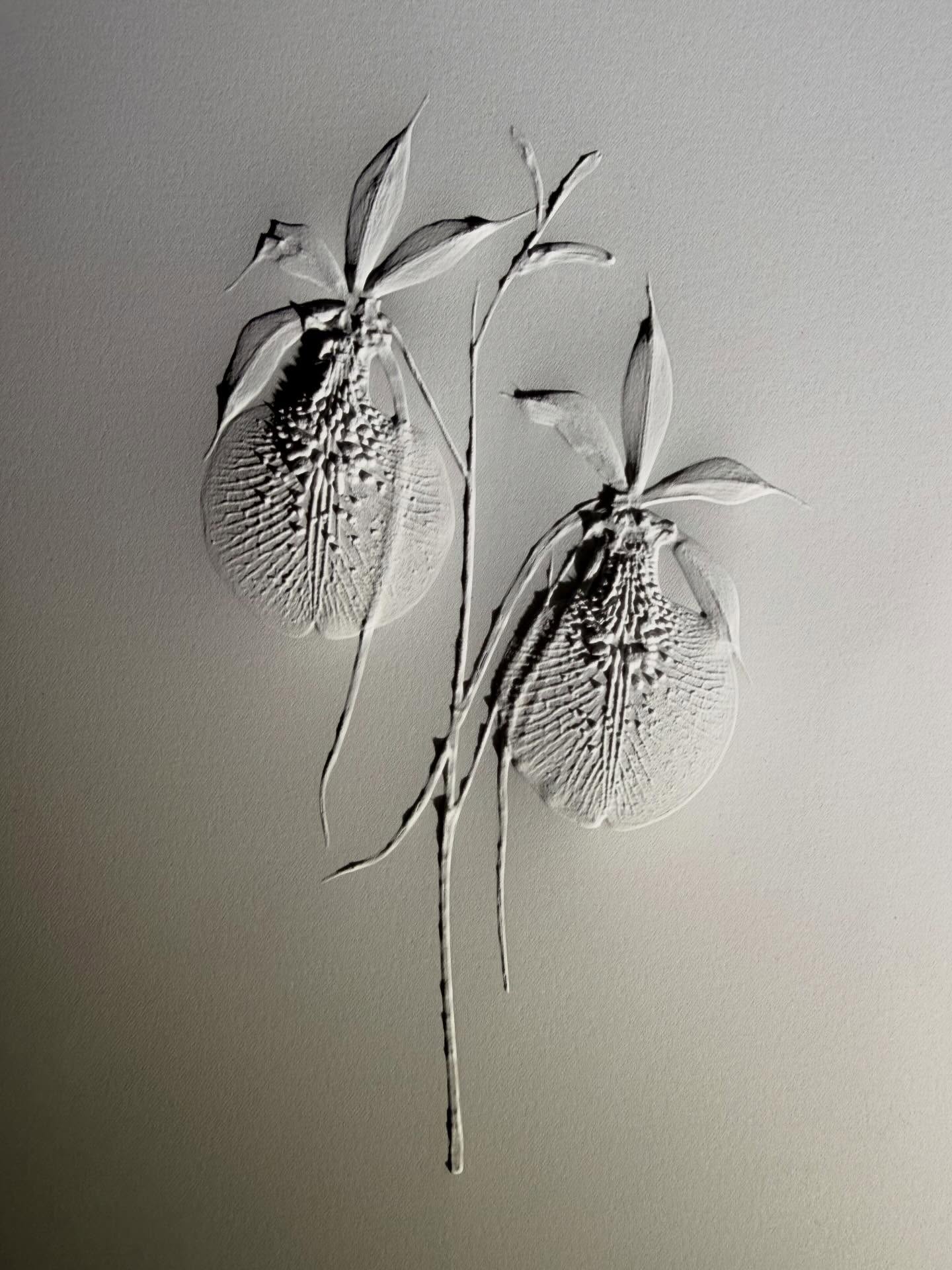 This artwork serves as a showcase of our custom embossing plate capabilities. From digital modelling through to precision machining, we are able to translate intricate textures and organic forms into durable plates that deliver crisp, high-definition impressions in a single press. #embossing #cncmachining