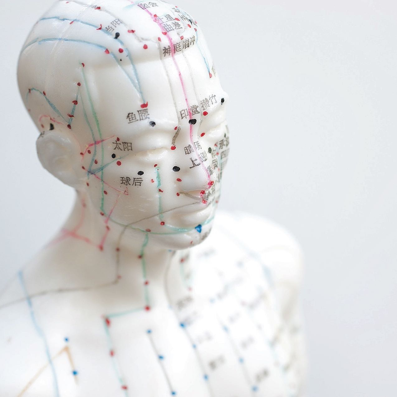 #acupuncture #meridians are channels that represent Yin & Yang organs. They form a network in the body through Vital Energy=QI(Yang) which lead the flow of essential body substances(Yin). #betterqiflow #yinandyang #bodybalance #tcm #kcm #koreanhealth #asianhealthcare #acuthecary #herb #aestheticacupuncture #cosmeticacupuncture