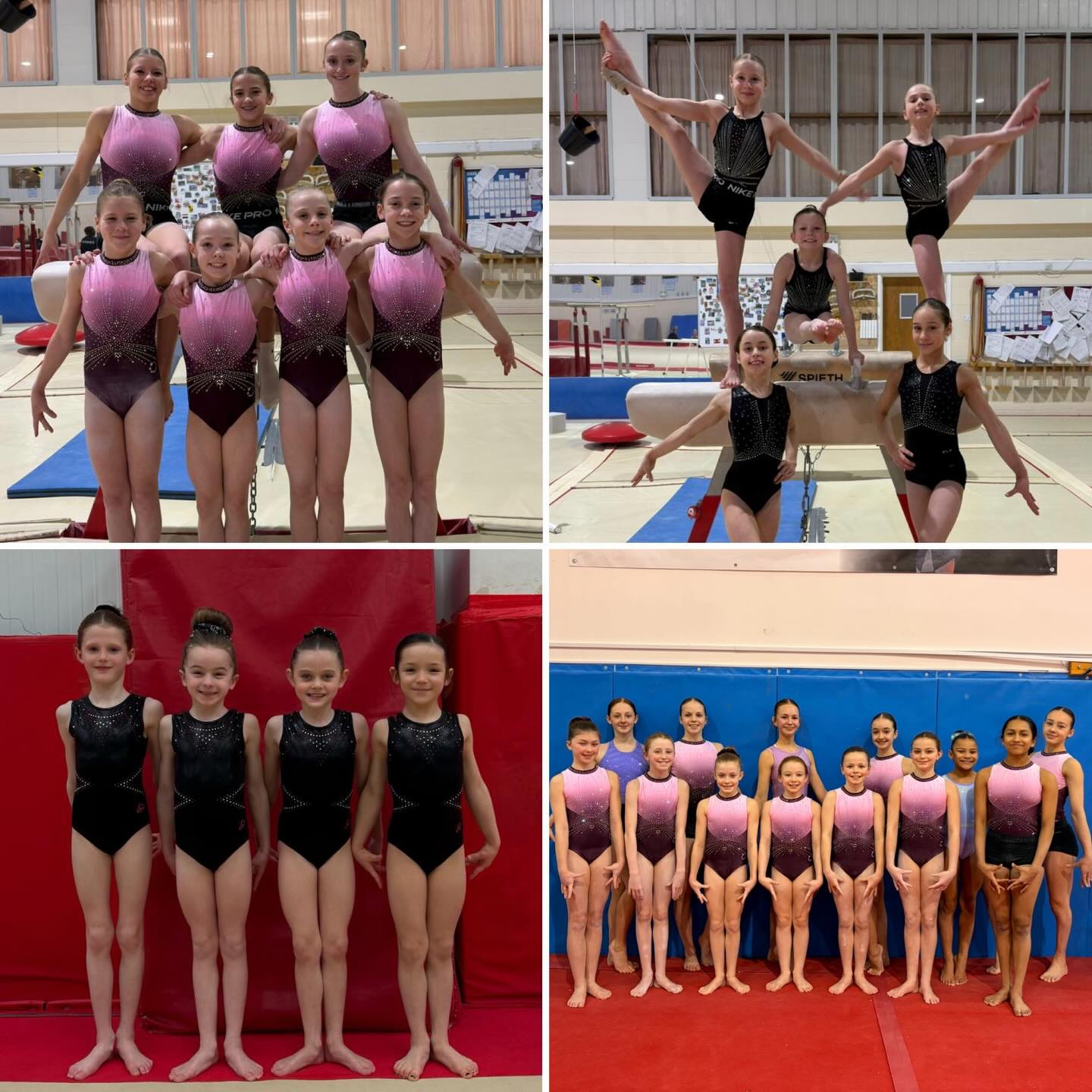 Congratulations to all the girls who have been selected for the 2026 County and Regional Squads โจ
What a fantastic achievement for both the gymnasts and coaches, you should all be incredibly proud of yourselves ๐