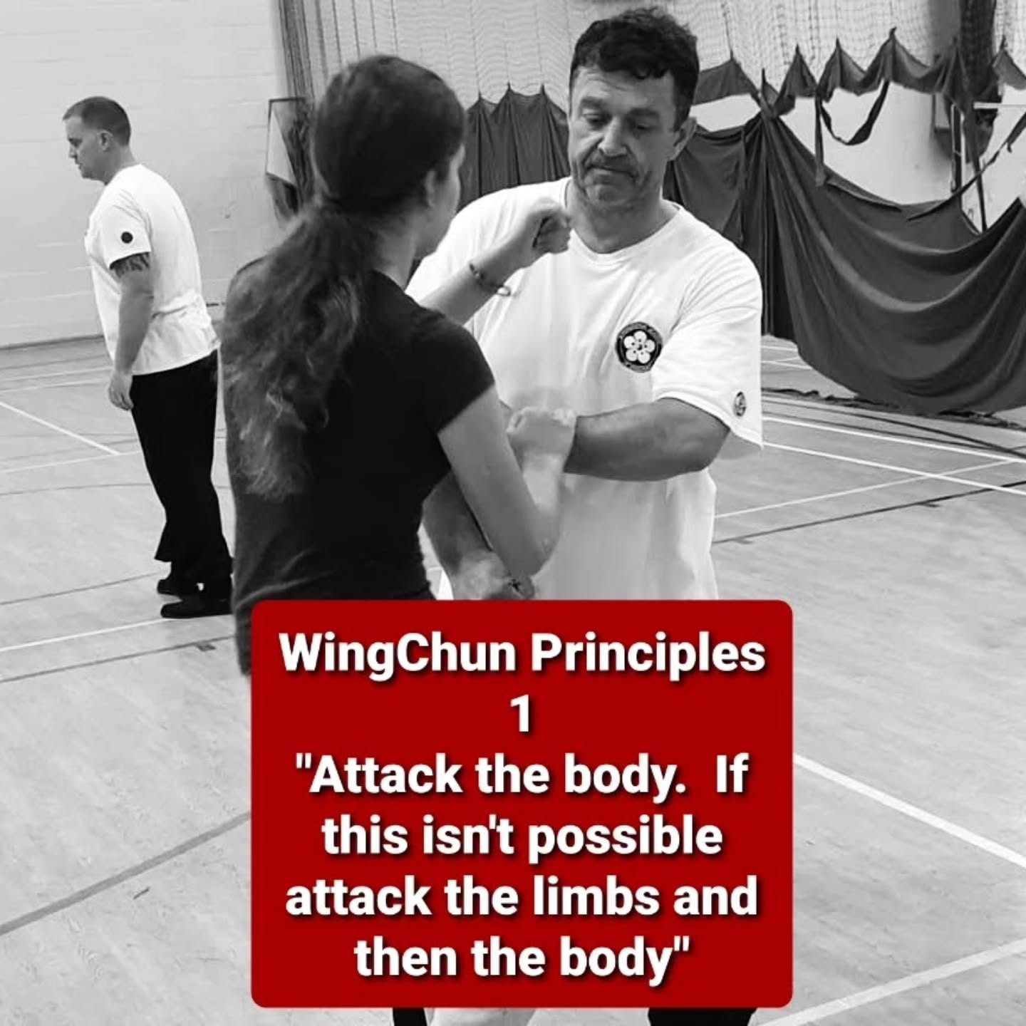 These 8 WingChun principles are not only the essential guide for all WingChun practioners, but they are applicable to any armed or unarmed combat art, and so must be studied and trained in everything.
#wingchun #principles #combat #weapons