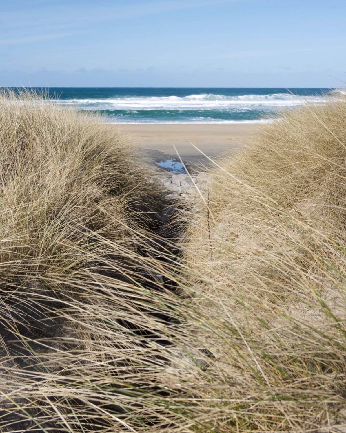 Our 2027 booking calendar is now open and available to book. To secure key dates and rooms for 2027 book now!
#2027
#broadbayhouse #isleoflewis #outerhebrides