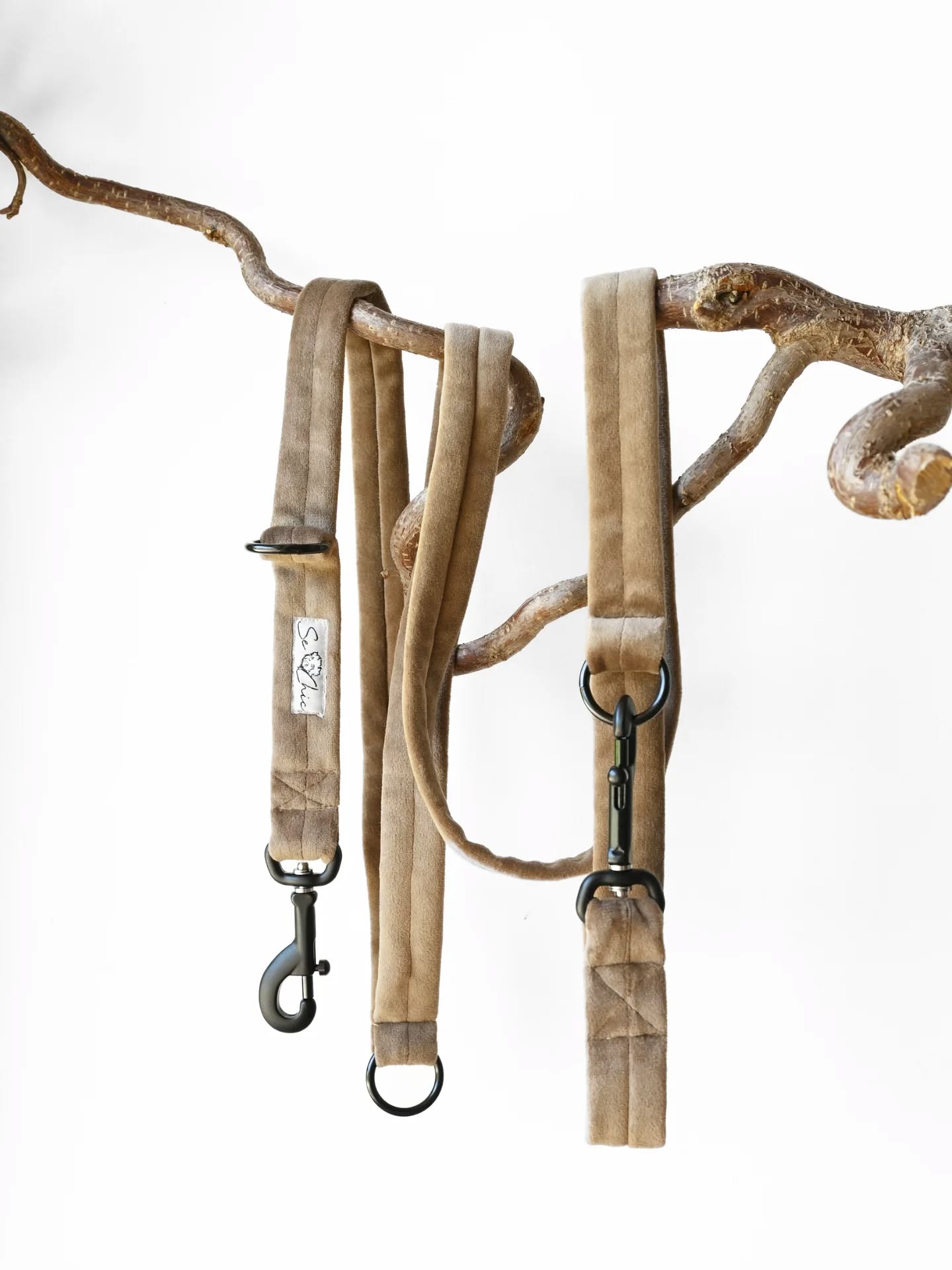 Hundeleine in Tobacco und Schwarz: robust, stylisch, sanftes Handling.🐾✨️
👉www.sechic.it
#Hundeleine #Tobacco#Handgemacht#hundeliebe#Südtiro
