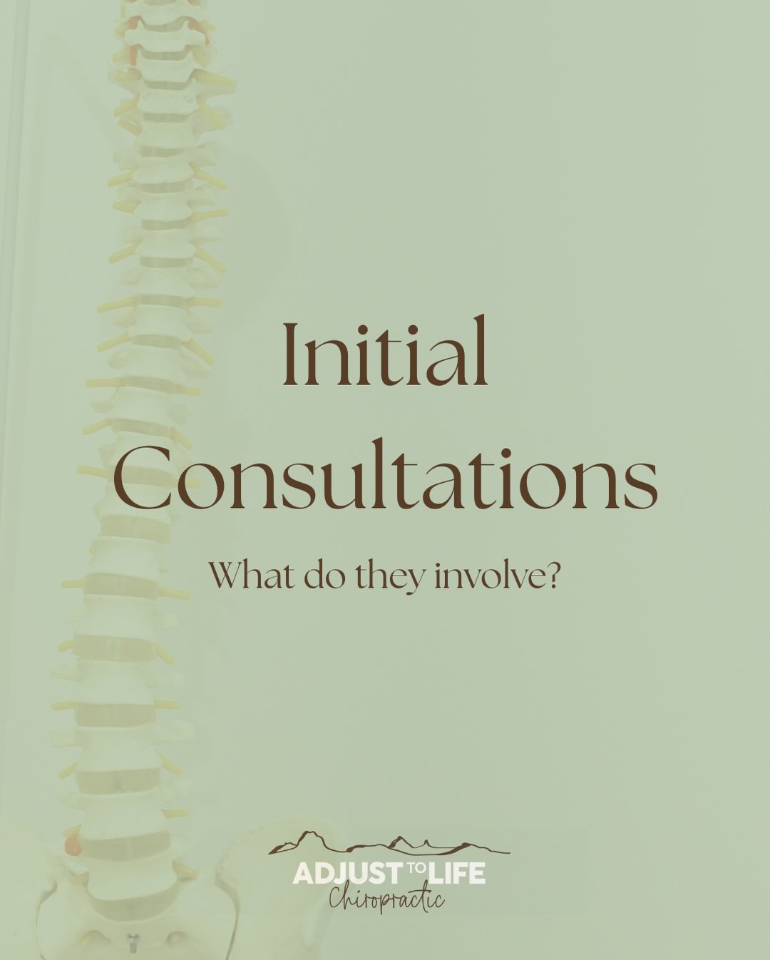 What’s involved in an Initial consultation at Adjust to life?
Book an appointment now to better your health 🌿
Link in bio