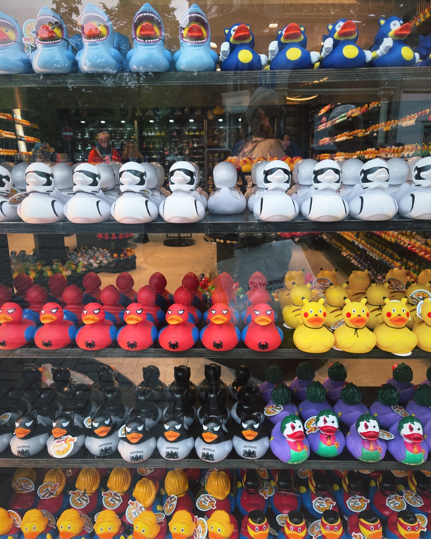 What’s the big fuss about the ducks!