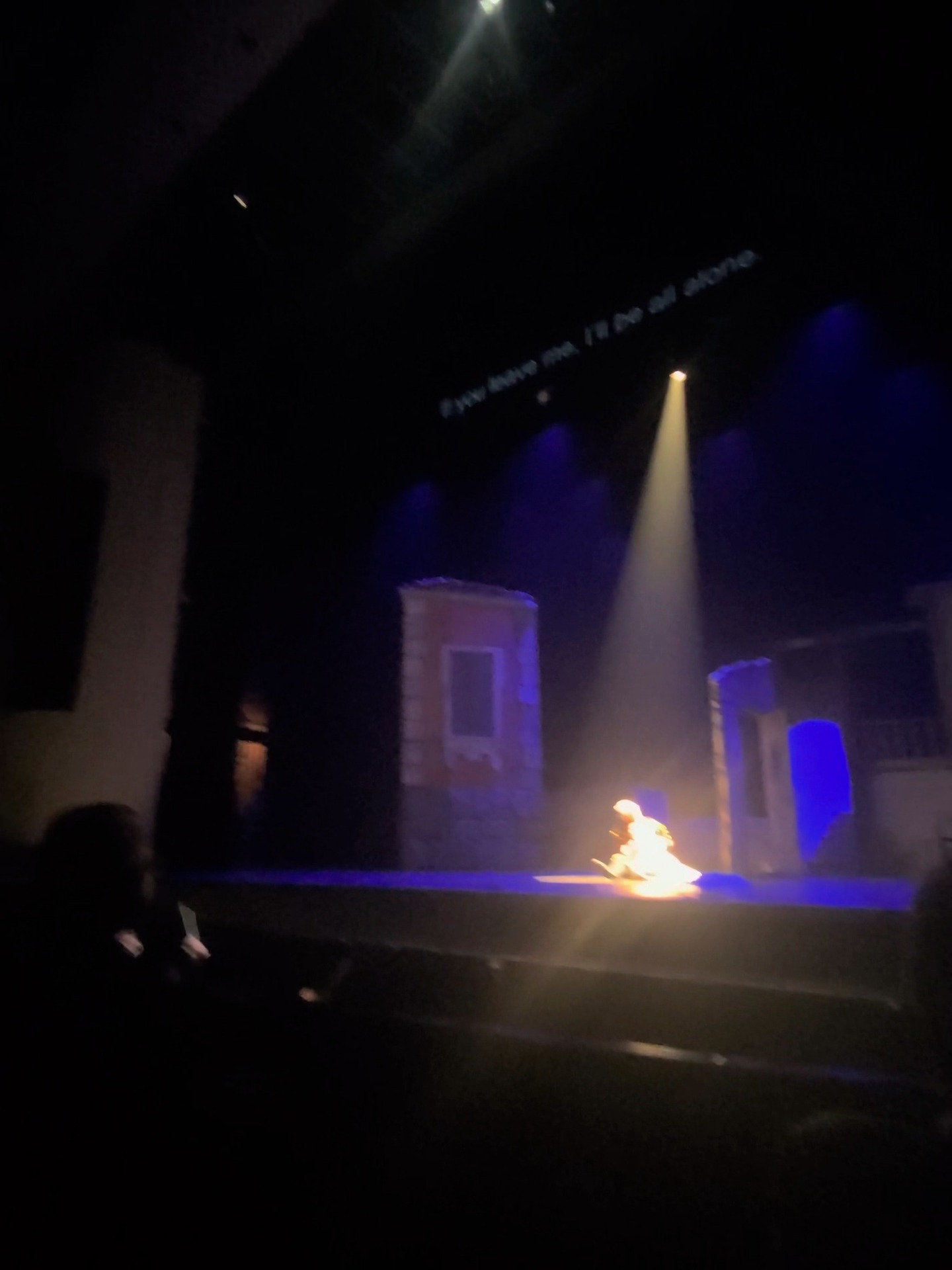 Thank you to Gannon King for capturing the tragic scene at the end of Rigoletto with Teatro Lirico d'Europa at the McCallum Theatre . It was a pleasure to sing with baritone Michael Nansel and Maestro Jason Tramm in this tender moment. I look forward to more!
@desert_dwelling_polymath
@mccallumtheatre
@michaelnansel
@jasontramm
#verdi #rigoletto #soprano #baritone