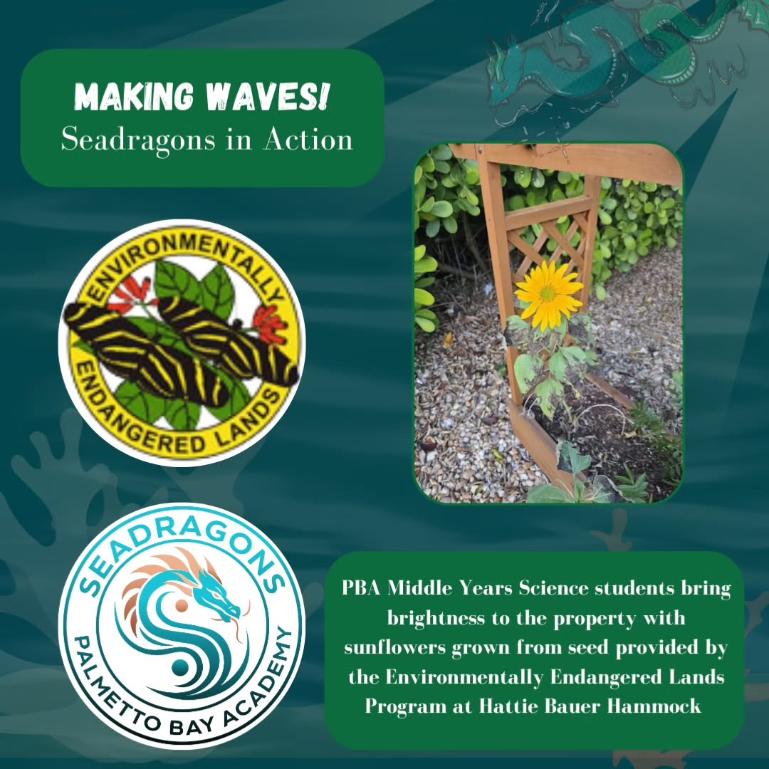 #environmentallyendangeredlands #environmentallyendangeredlandsprogram #hattiebauerhammock