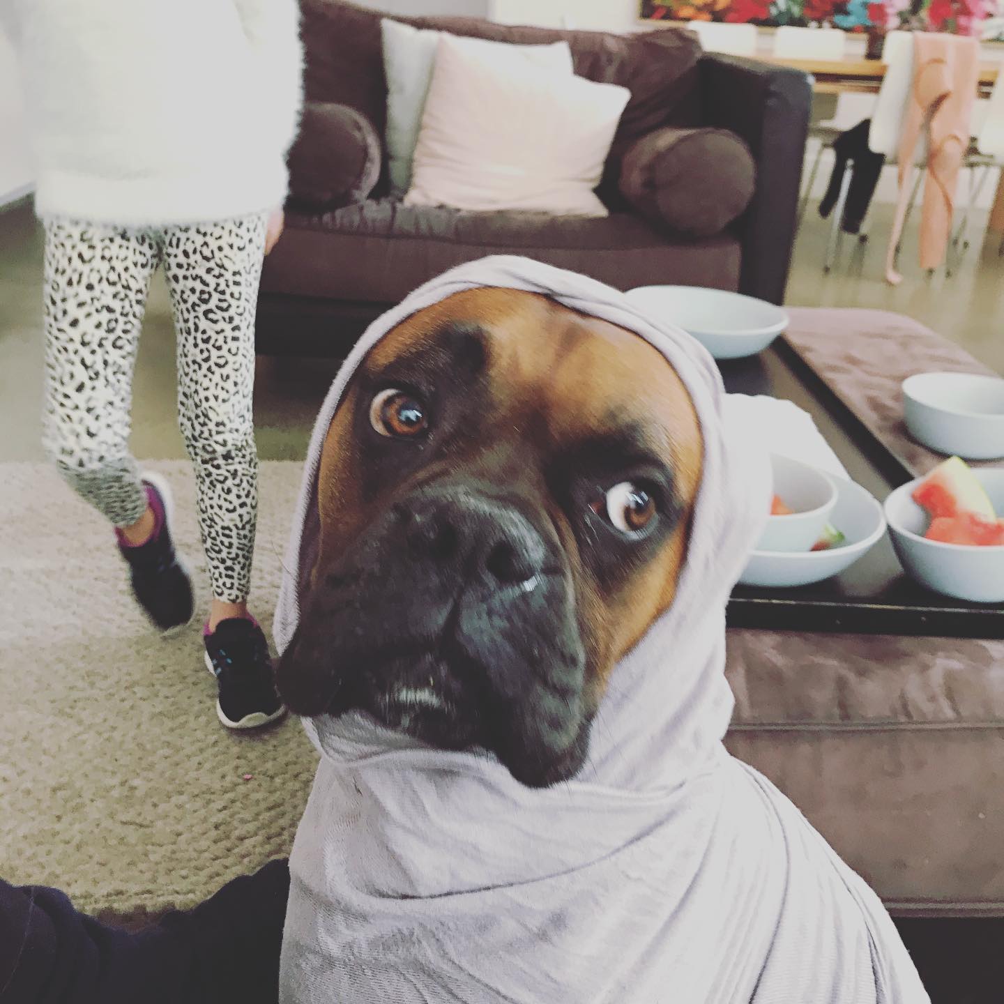 NED (written by 8yr old immi)
Ned is our dog and he
loves to jump around
like a leap frog.
A
boxer is his breed and
he likes it when we
take him for a walk on
his lead.
When we take
him to the park
he loves
to bark bark bark.
Ned
loves us all
and likes to chase
his bouncy ball.
He has big jauls
and loves to drool
he is
intelligent and not a fool.
He has a black nose and
likes to lye around and
have a dose.
He is a love able dog
and he loves it
when we take him for a jog.
He has a floppy tale
and saggy ears,he runs
as fast as a bike with gears.
His color is brown
and his hole face looks like
Clown with a frown.
He is my best friend
and I will love him to the end.