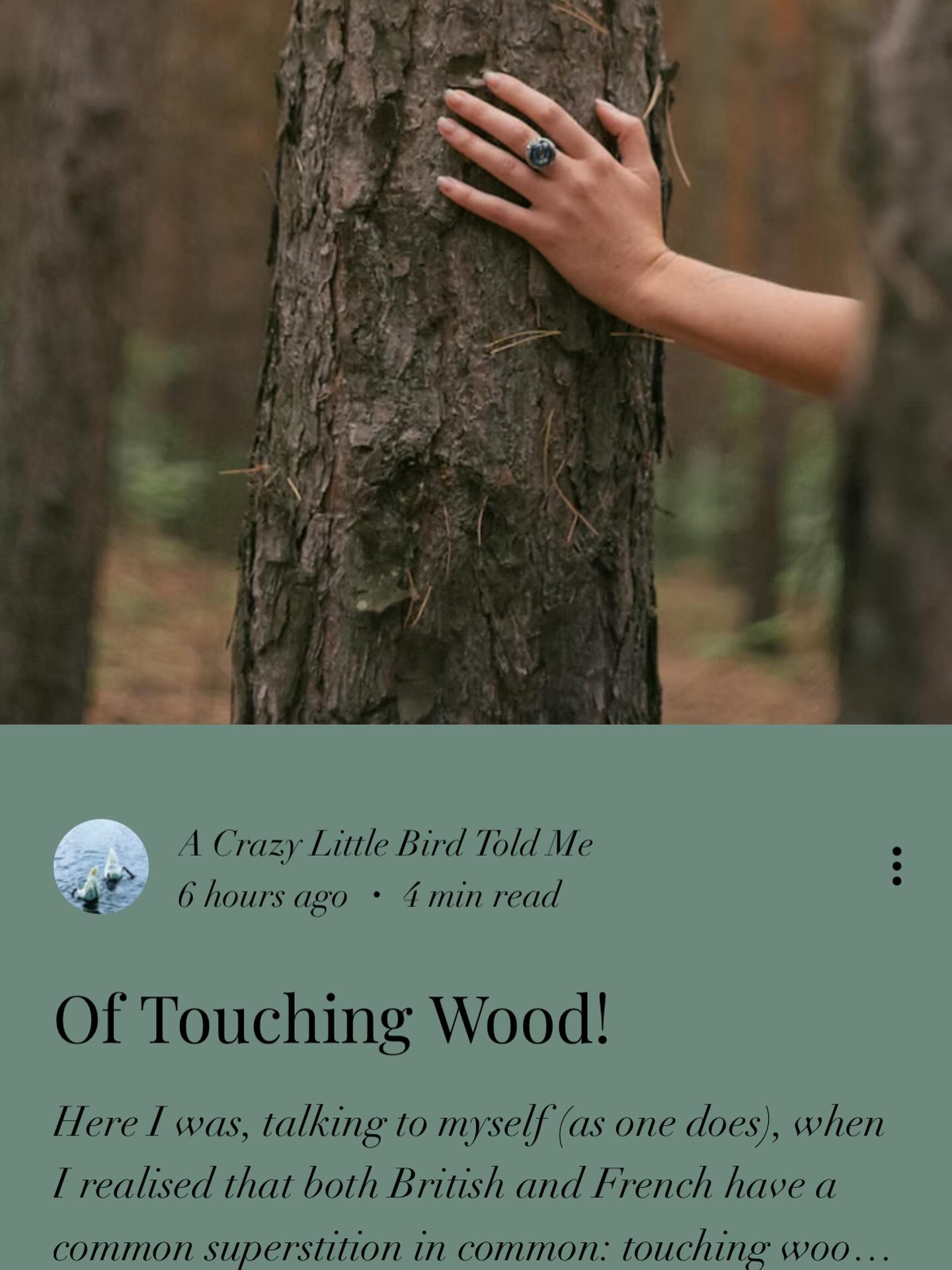 acrazylittlebirdtoldme.com