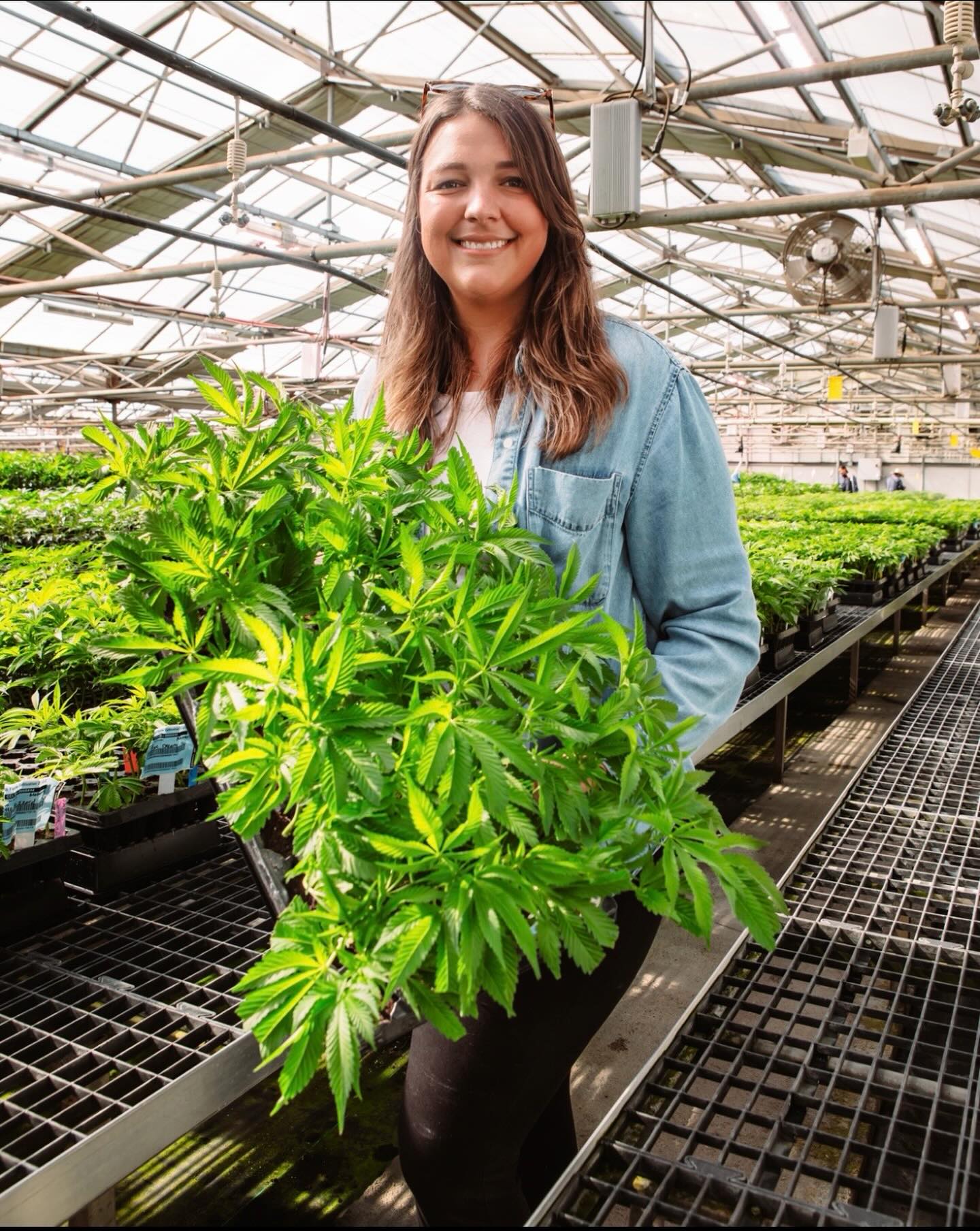 We’re excited to welcome Rachel Porter @rachelgrowsplants as a CRC Advisor!
Rachel builds structured, data-driven in-house R&D programs for commercial cannabis operators through @rmphorticulture, helping teams evaluate genetics, inputs, and cultivation strategies and translate plant science into operational decision-making.
Previously at StateHouse Holdings (formerly Harborside Farms), she led the development of an integrated R&D program within commercial greenhouse production, establishing formal trial frameworks for cultivation strategy and continuous improvement.
Rachel holds an M.S. in Horticulture from North Carolina State University, where her research focused on containerized plant production.
Her work bridges applied research and commercial cultivation, and we’re excited to have her perspective helping guide CRC.
Welcome to the team, Rachel!