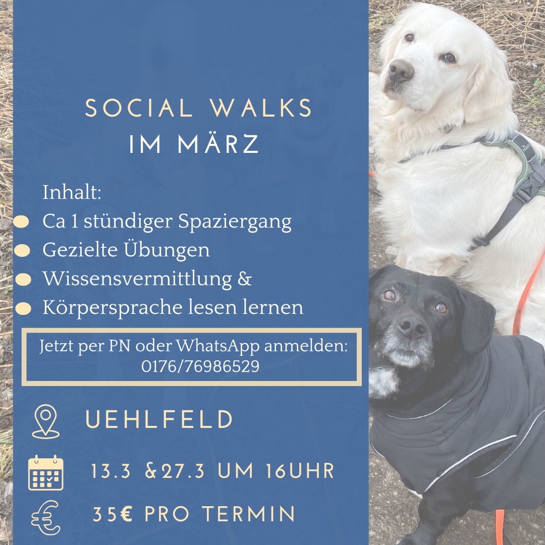Auch im März gibt es wieder Socialwalktermine für Uehlfeld!♥️
Dabei handelt es sich um einen von einer Trainerin geführten Spaziergang an der Leine.
Lerninhalte sind:
✅Deeskalierendes Verhalten
✅Umgang mit Frontalbegegnungen
✅Körpersprache beobachten und richtig interpretieren
💡Ideal für Hunde die gegenüber anderen Hunden Bellverhalten, Aggressionsverhalten, Frust, erhöhte Erregung oder Unsicherheiten zeigen.
Wir gehen individuell auf das gezeigte Verhalten der Hunde ein und bauen immer wieder Übungen in den Spaziergang mit ein.
➡️Anmeldung gerne per PN oder WhatsApp!