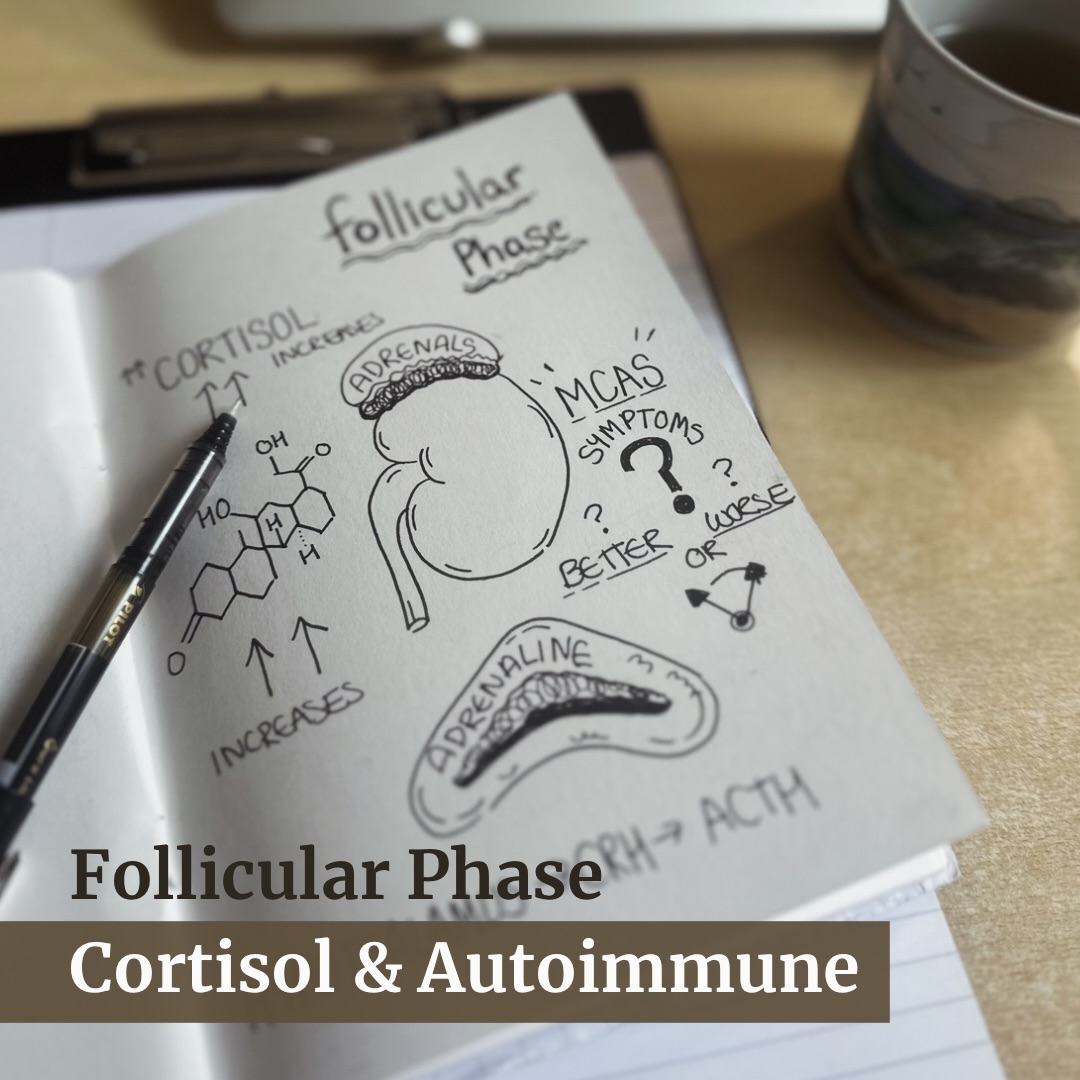 Thoughts of Spring this month brought me to Autoimmune, Cortisol & the Follicular Phase… Many people notice the follicular phase brings energy, mental clarity, and motivation. Research shows at this point there is higher cortisol levels, alongside rising estrogen…. How does this affect Autoimmune or MCAS symptoms?
“Cortisol is often thought as a stress hormone. In reality, it is a key regulator of energy and inflammation. It mobilises glucose, sharpens focus, stabilises blood pressure, and supports outward movement and initiative. In a healthy system, cortisol creates the feeling of “I can cope again.”
Follicular cortisol: energy with demand
During the follicular phase:
• Cortisol is more available
• Estrogen increases immune and nervous-system responsiveness
• The body shifts into a more active, outward state
For many, this feels energising and productive…. However… in sensitive systems, the same activation can feel overstimulating rather than supportive… where do you fall?? Better or Worse??
Comment below ⬇️
estrogen dominance can increase mast cell sensitivity and histamine release. When cortisol rises at the same time, the body becomes mobilised and alert — but not always well buffered.
The result is often:
• More energy, but also more reactivity
• A sense of being “on edge”
• Symptoms flaring not from weakness, but from over-responsiveness
When regulation is restored, energy becomes usable again, rather than triggering symptoms.