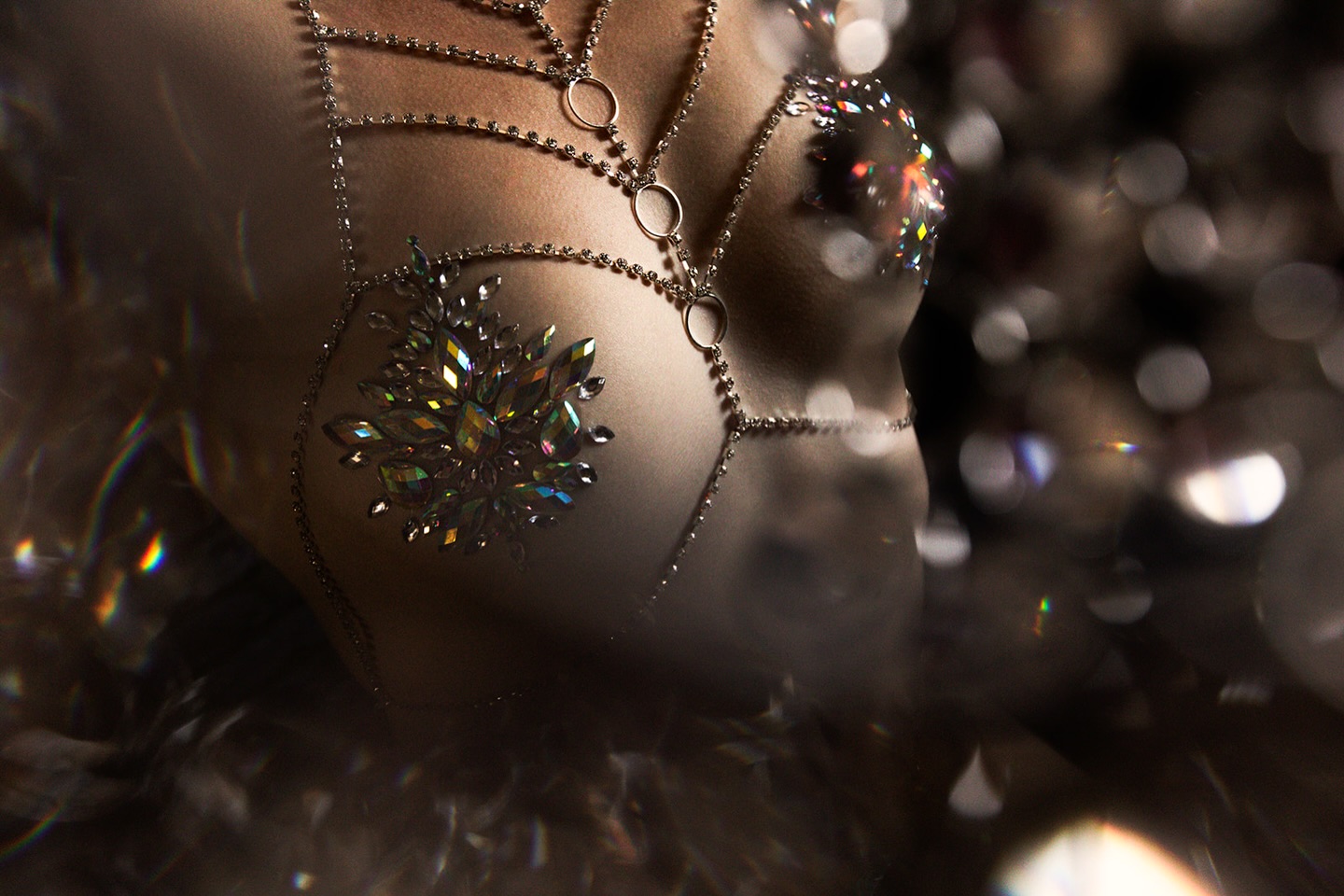 Adding a little glitz’s and glam to your day! Did you know you don’t have to show your face (or anything for that matter) in boudoir? If I have said it once I’ve said it a million times. Boudoir is about the attitude, the confidence, the energy you bring.