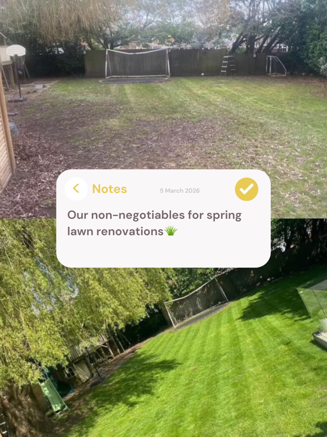 Our steps to get the best lawn for this spring and summer 🌱💐
treat your lawn for moss
mow your lawn as short as possible
scarify and remove debris
aerate your lawn
apply super seed
apply lawn bulk gold edition
apply top soil if you have the budget
and don’t forget to water morning and evening if no rain is due 🌧️
Then sit back and admire your work!
#lawncare #gardening #lawnreno #greengrass #springgardening