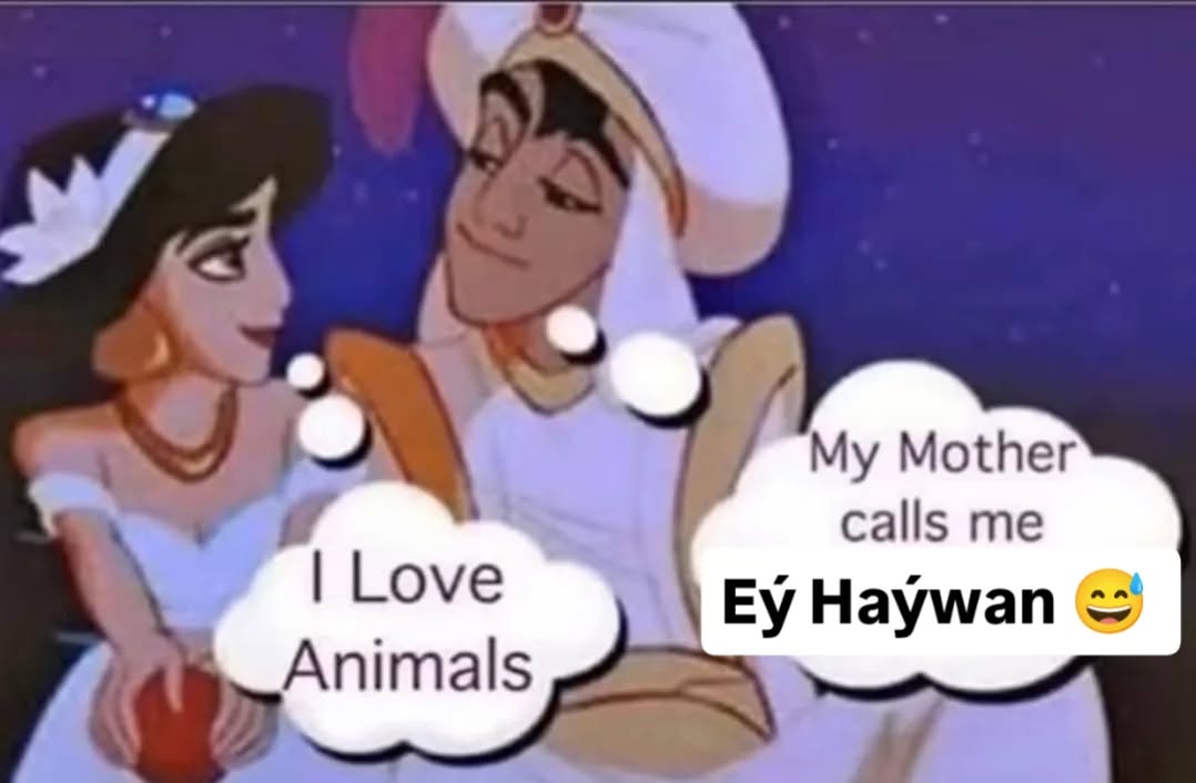 I love Animals 🙊 🙈 🙉