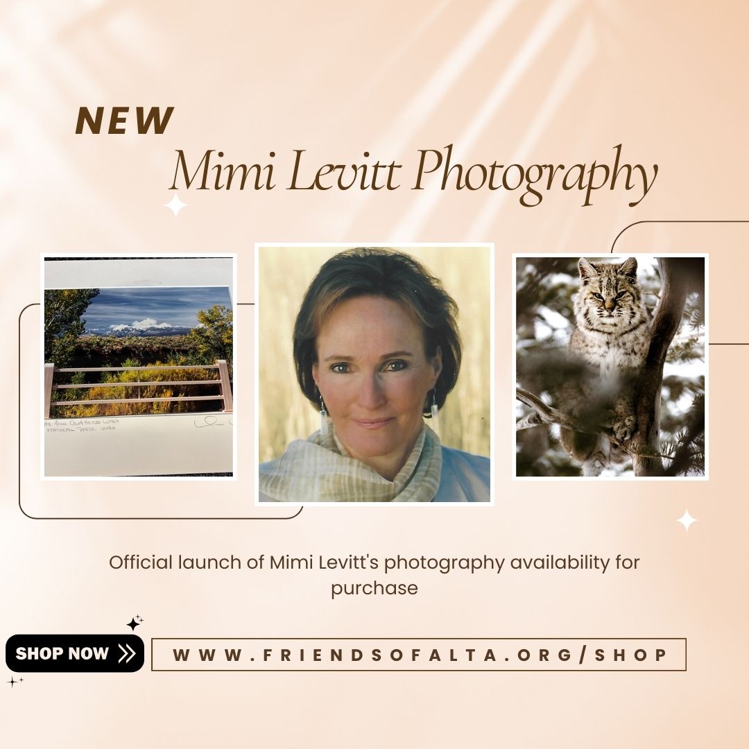 We are thrilled to announce the official launch of Mimi Levitt's Photography collection for sale.
Mimi Levitt was truly the heart and soul of Friends of Alta. Her unwavering passion for safeguarding and nurturing the beautiful environment of Alta has inspired our work for over 40 wonderful years.
As a devoted advocate, Mimi's love for Alta shone brightly in all that she did. Her spirit will forever be alive in our memories, through the lives that she touched, and through the nonprofit she so passionately helped establish.
Mimi was an accomplished photographer who captured stunning photographs showcasing the natural beauty of Alta and Moab. Thanks to the generosity of The Levitt family, we have the privilege of offering Mimi's photography for sale. Each purchase helps support ongoing efforts to preserve this special place for future generations. Mimi’s work not only highlights the breathtaking landscapes but also serves as a powerful reminder of why protecting our environment matters. By acquiring these images, you contribute directly to conservation initiatives and help ensure that Alta remains a vibrant, thriving habitat for years to come.
Most of these pieces are one of a kind and will not be available for re-print.
Available for purchase at www.friendsofalta.org/shop or link in bio