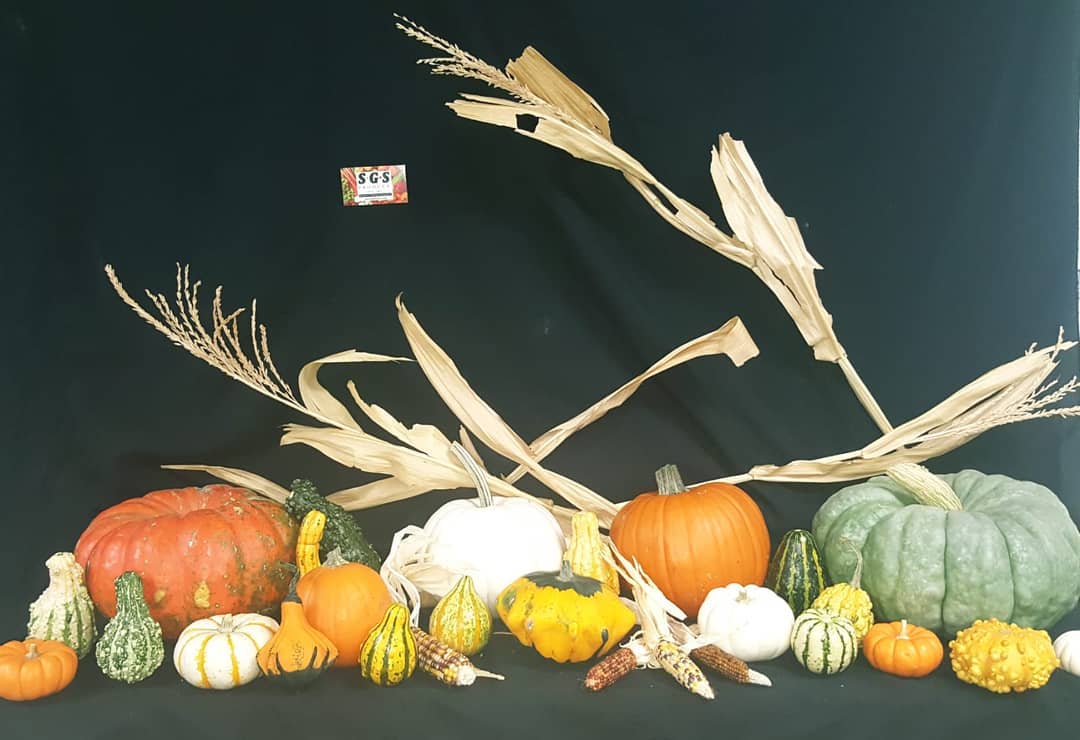 #Halloween #officedecor #pumpkin #SGSProduce