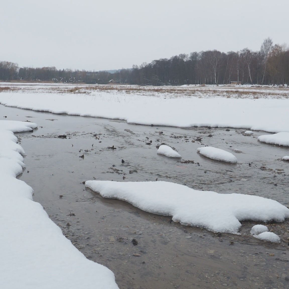 Průběžná zpráva z posledních dní před dokončením prací na obnově rybníka Rosnička u Svitav v roce 2026.
https://youtu.be/ASTX5QVVr6Q