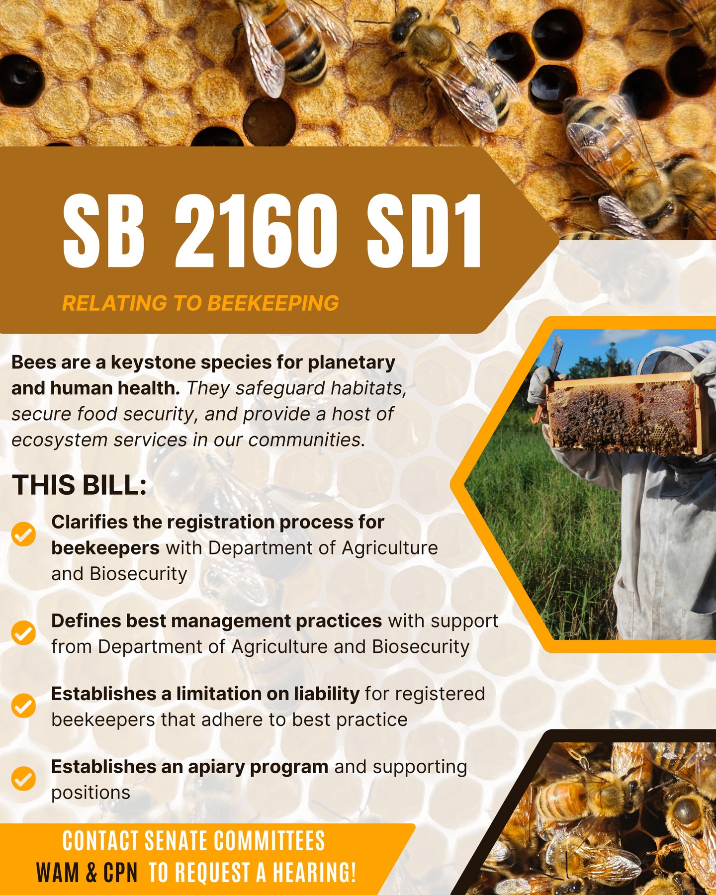 SB2160 SD1 (Relating to Beekeeping) still needs a hearing in WAM + CPN to keep moving.
Please help us #spamwam (and CPN) by emailing committee leadership and asking them to schedule SB2160 SD1 for a hearing.
You don’t have to be “for” or “against” to request a hearing. A quick note like:
“Please schedule SB2160 SD1 for a hearing.”
…is enough.
And please forward this to your beekeeper friends. Once a hearing is scheduled, we need beekeepers and community members to show up in testimony and weigh in (support, oppose, or comments/suggested edits).
📩 Contacts are on slide 2.
#fixourfoodsystem