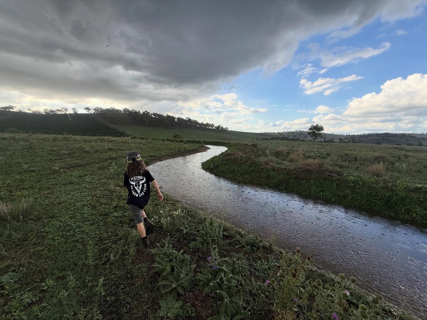 Quick site visit while it is raining. Love showing my kids how it all functions while it is raining and seeing how excited the client is with water in their contours.