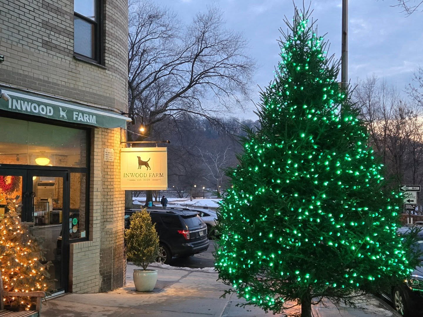 A tree for all occasions! We're getting in the mood at Inwood Farm!