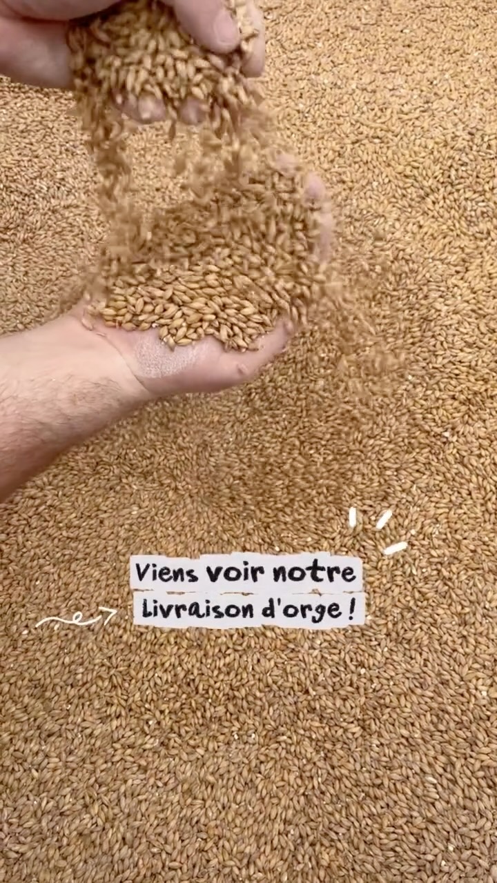 C’est ici que tout commence ! 🚛
Livraison d’orge bio, cultivée par nos producteurs locaux 🌾
Et bientôt, notre whisky Origines.
Maison Victors, de la terre au verre 🥃
L’abus d’alcool est dangereux pour la santé, à consommer avec modération.