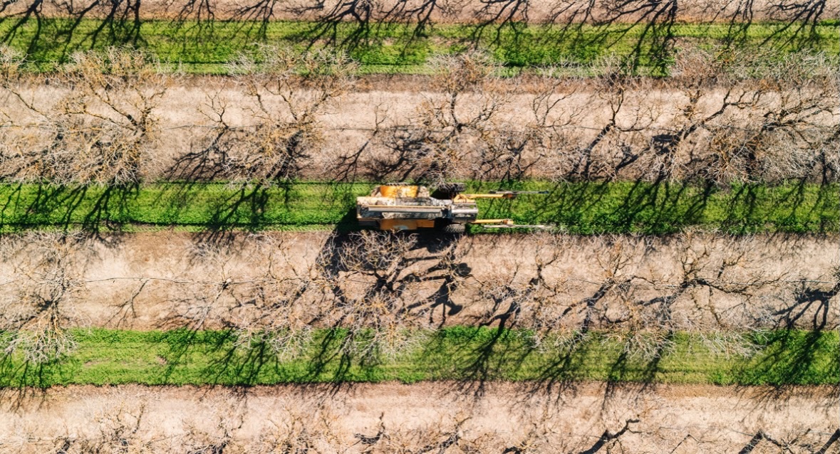 Helping growers keep their orchards in shape across the valley. 🌳
Give us a call to get on the schedule!
📞 North Valley: (209) 564-8207
📞 Central Valley: (559) 363-3315
📞 South Valley: (559) 201-3189
#treebarber #orchardmanagement #orchardcare #centralvalleyag #agservices