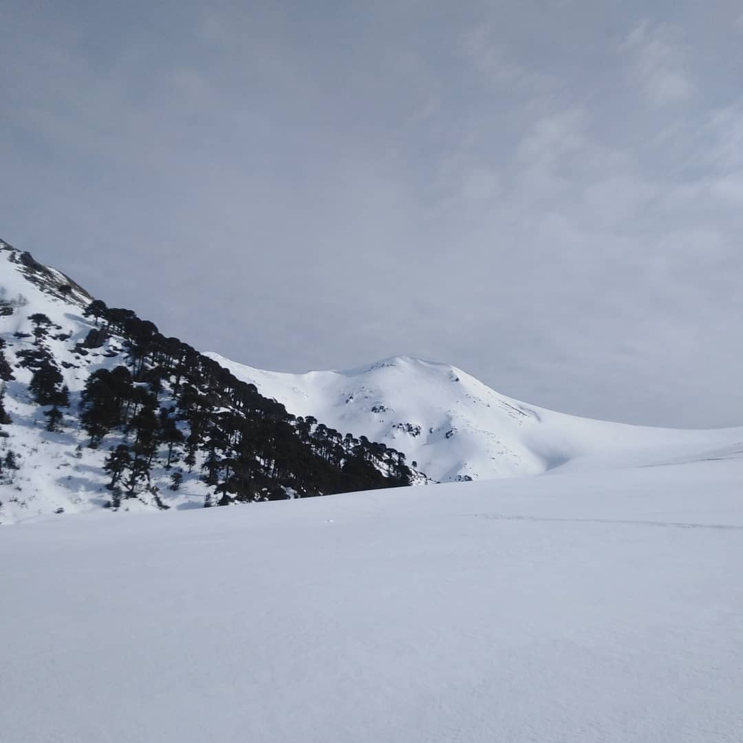 Buen día con los motivados !!
🏔️⚡. -
@casaesquinamalalcahuello
@senoretbrothers
#splitboarding #araucaniaandina #refugiosparatodos #casaesquinamalalcahuello
#corralco #malalcahuello #backcountry #skitouring
