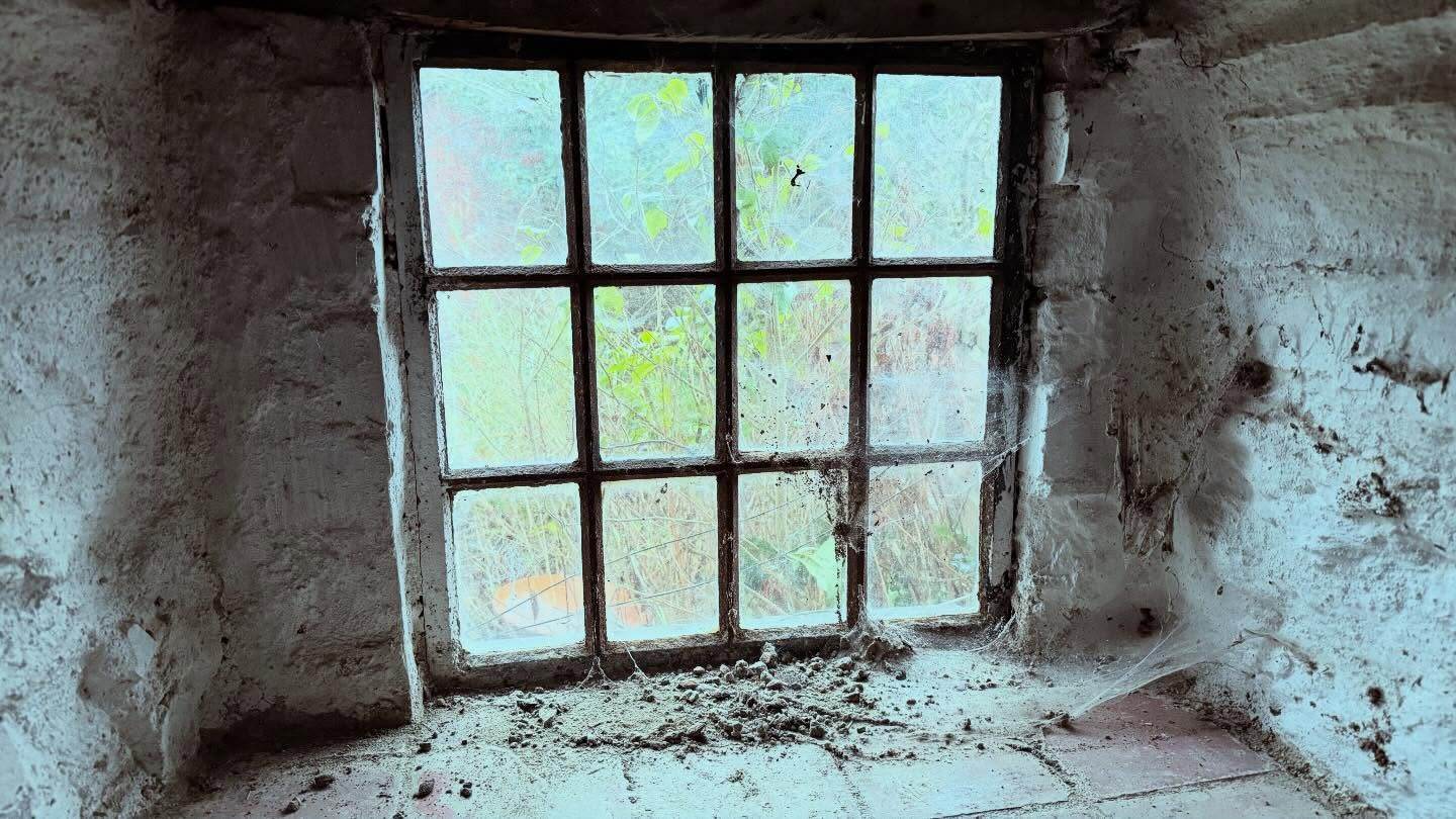 Windowsill of dreams with years of dirt, cobwebs and decay for added character and authenticity. Leave it or clean it? Our new home has been neglected for several years and this does have some (actually just a few) benefits. What would you do? #windowsillofdreams #newhome #cobwebbeauty #fadedbeautyindecay #floralantics